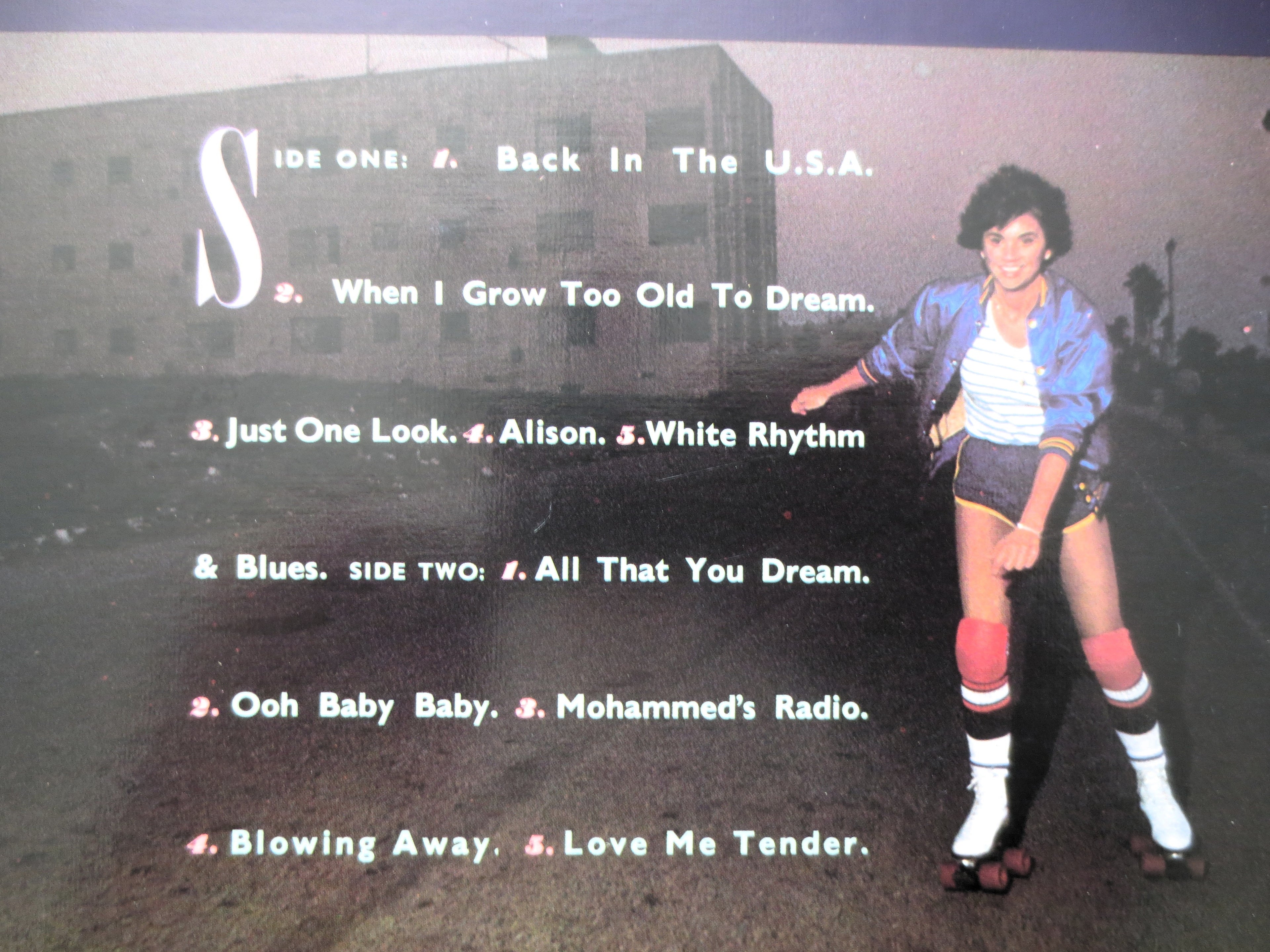 Linda Ronstadt – Living in the USA (1978) Vinyl LP