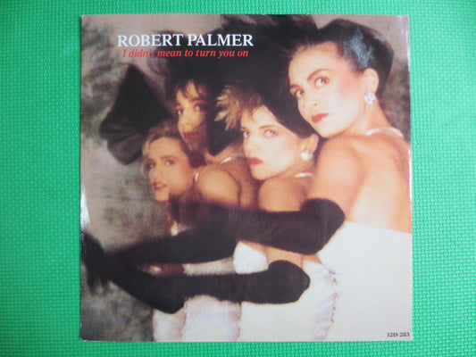 ROBERT PALMER, I Didn't Mean To Turn You On, Robert Palmer Record, Robert Palmer Vinyl, Records, Vinyl Albums, Vintage Records, 1985 Records
