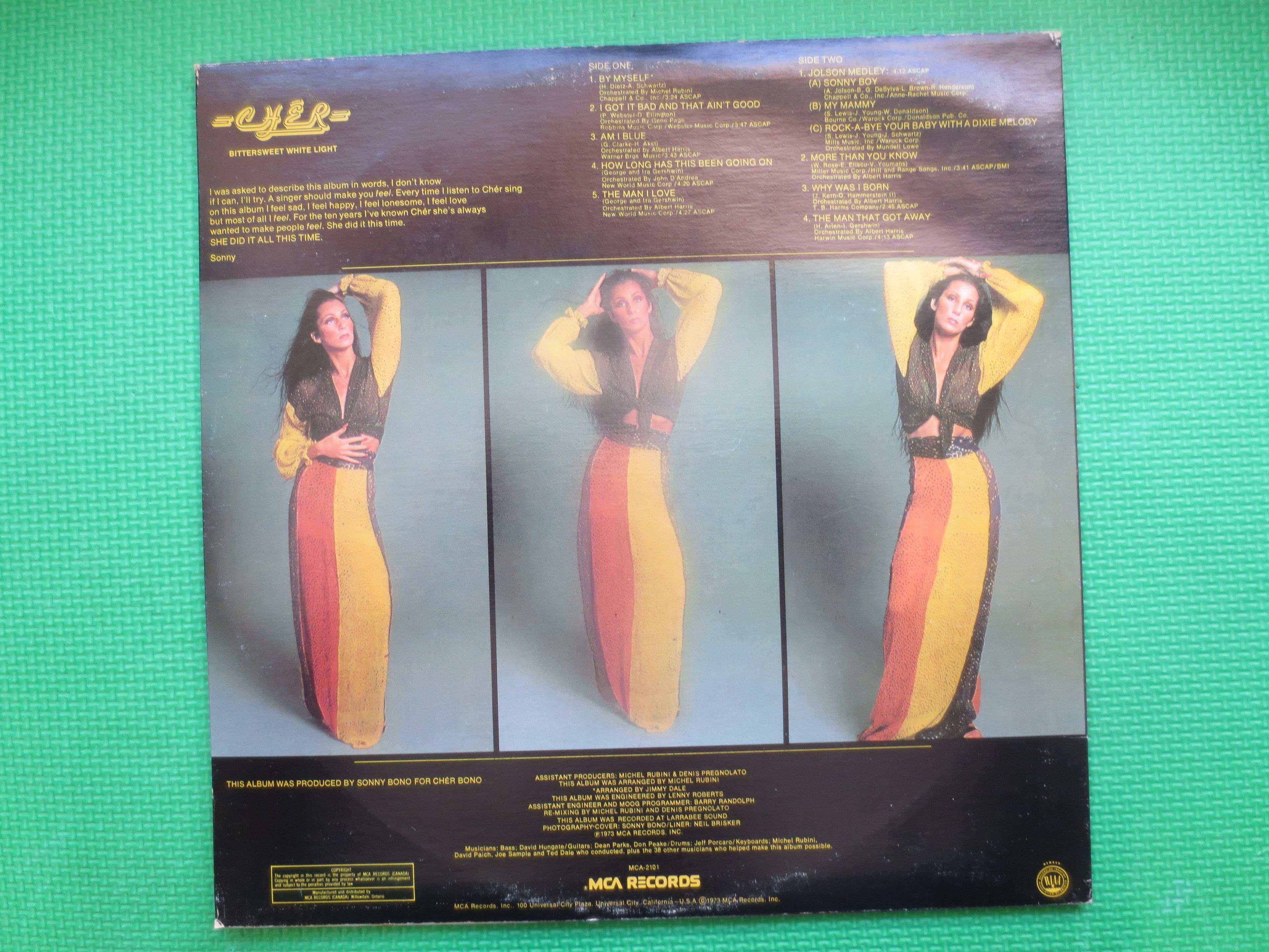 CHER, BITTERSWEET White Light, CHER Album, Cher Records, Cher Vinyl, Cher Music, Cher Lps, Sonny and Cher, Vintage Records, 1973 Records