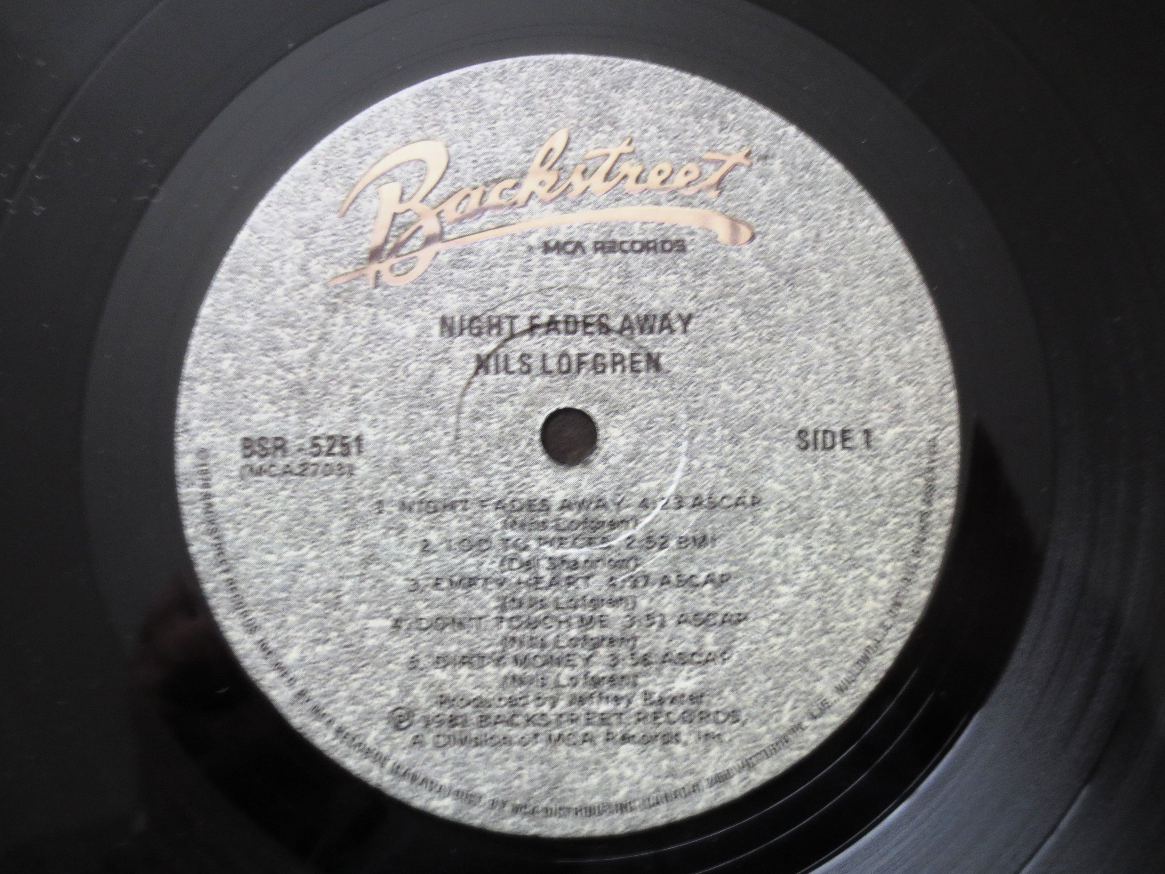 NILS LOFGREN, NIGHT Fades Away, Vintage Rock Album, 1981 Record, Vinyl Lp