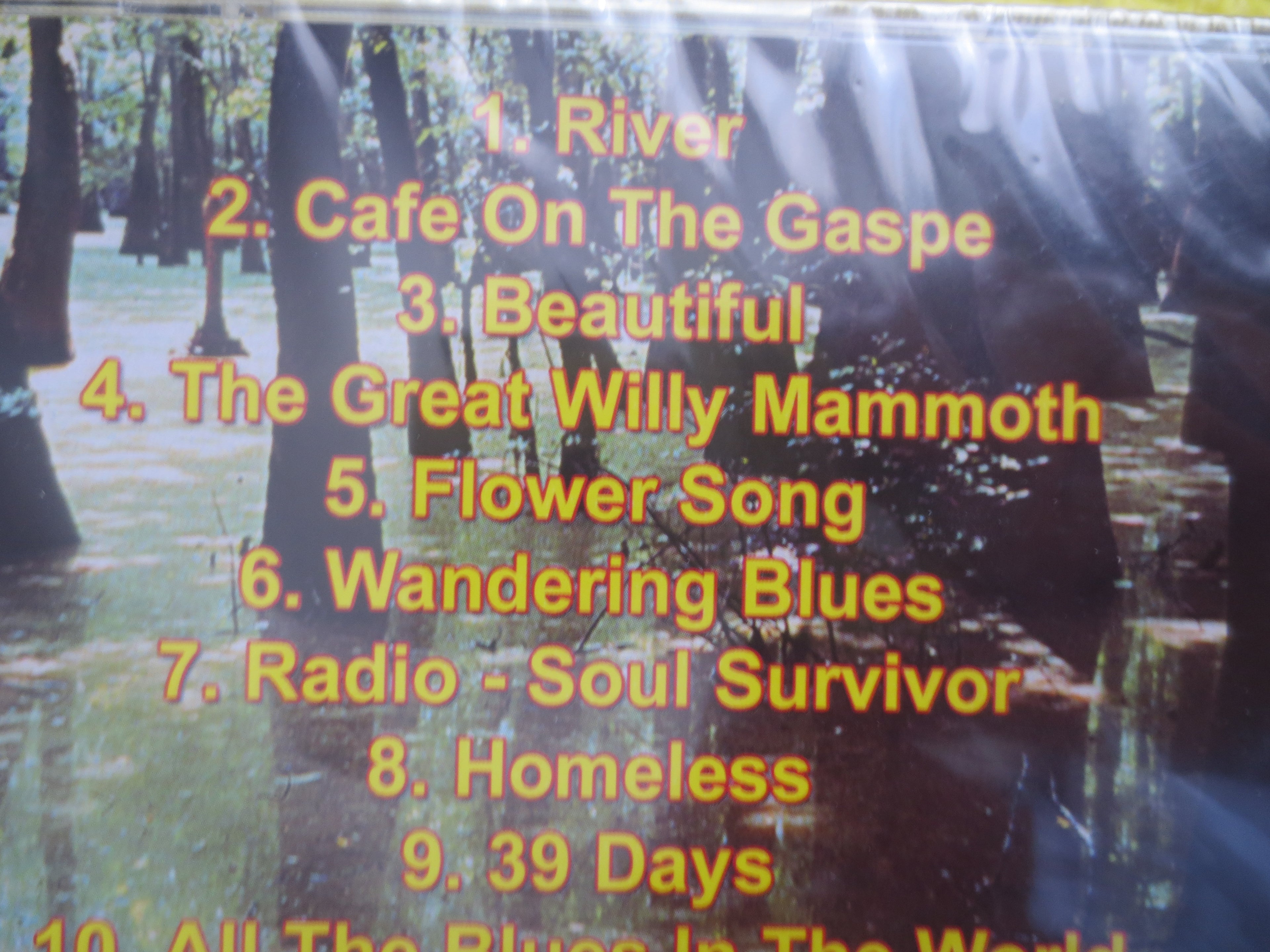 Bill Durst – The Great Willy Mammoth (1985) CD — Factory Sealed