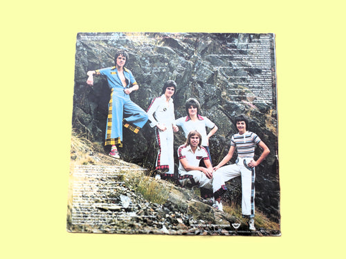 BAY CITY ROLLERS, Dedication, Vintage Album, 1976 Record, Vinyl Lp
