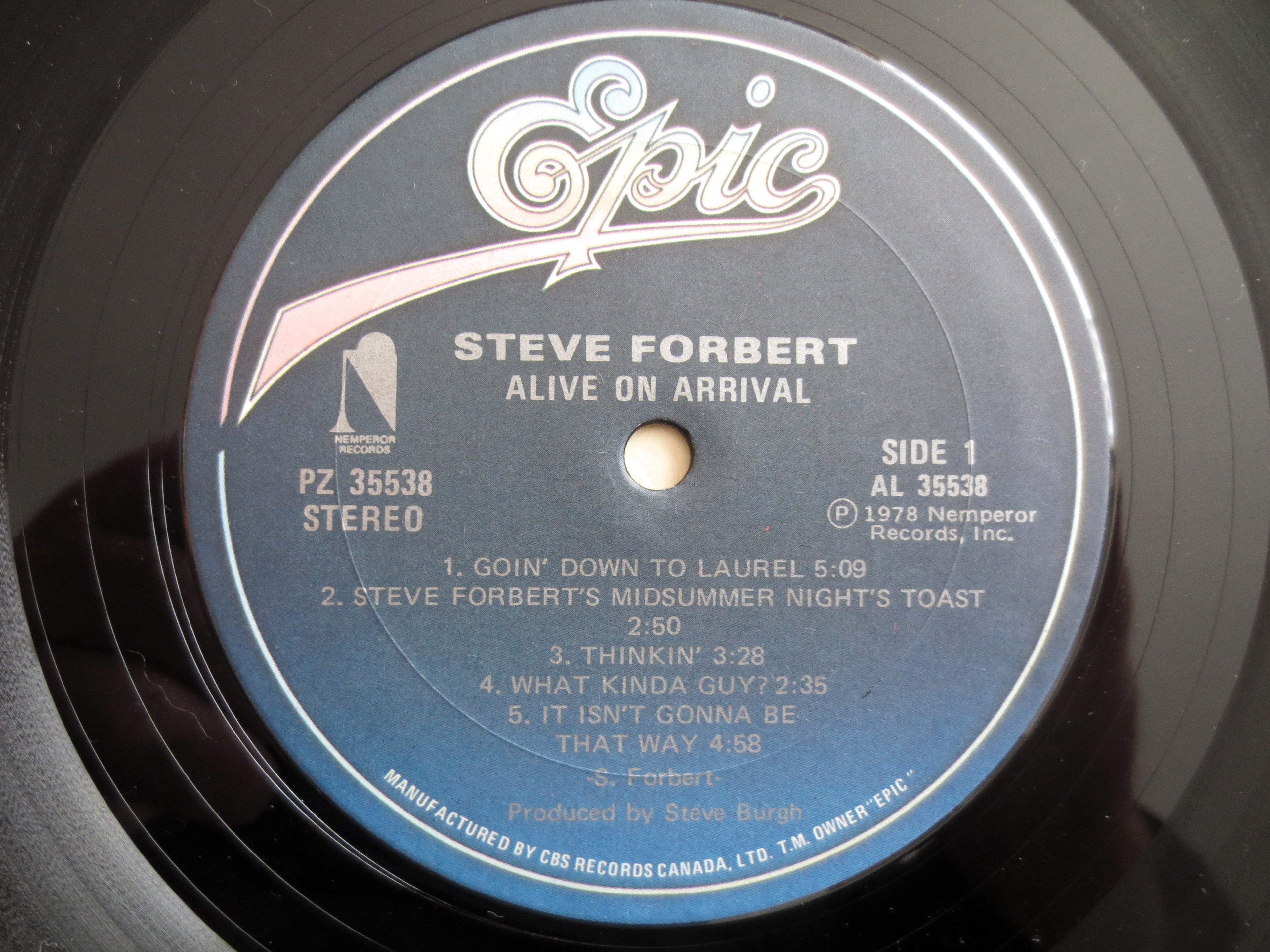 STEVE FORBERT, Alive on Arrival, Vintage Album, 1978 Record, Vinyl Lp