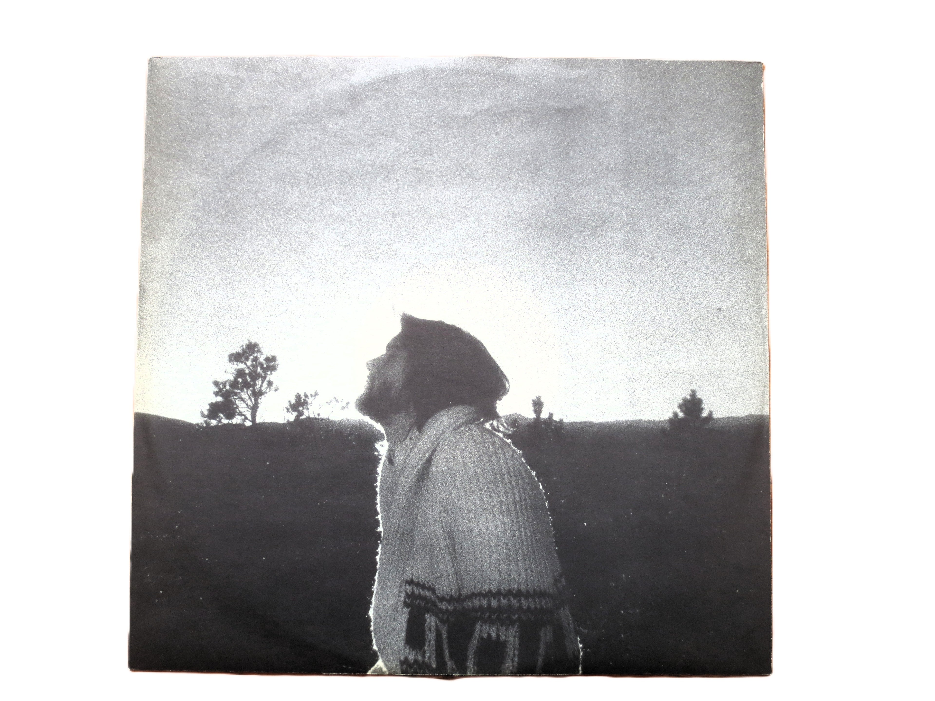DAN FOGELBERG, Nether Lands, Vintage Album, 1977 Record, Vinyl Lp