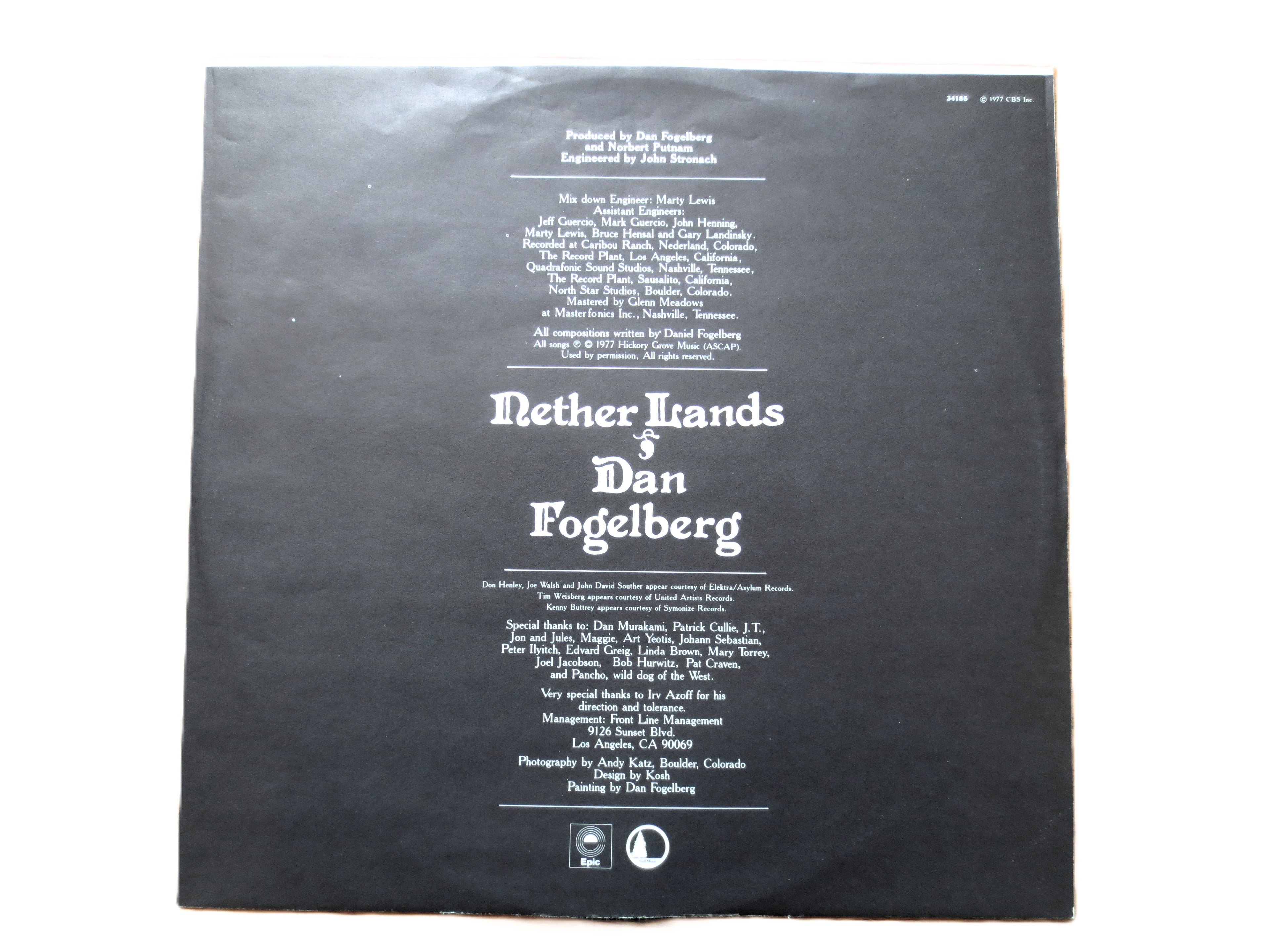 DAN FOGELBERG, Nether Lands, Vintage Album, 1977 Record, Vinyl Lp