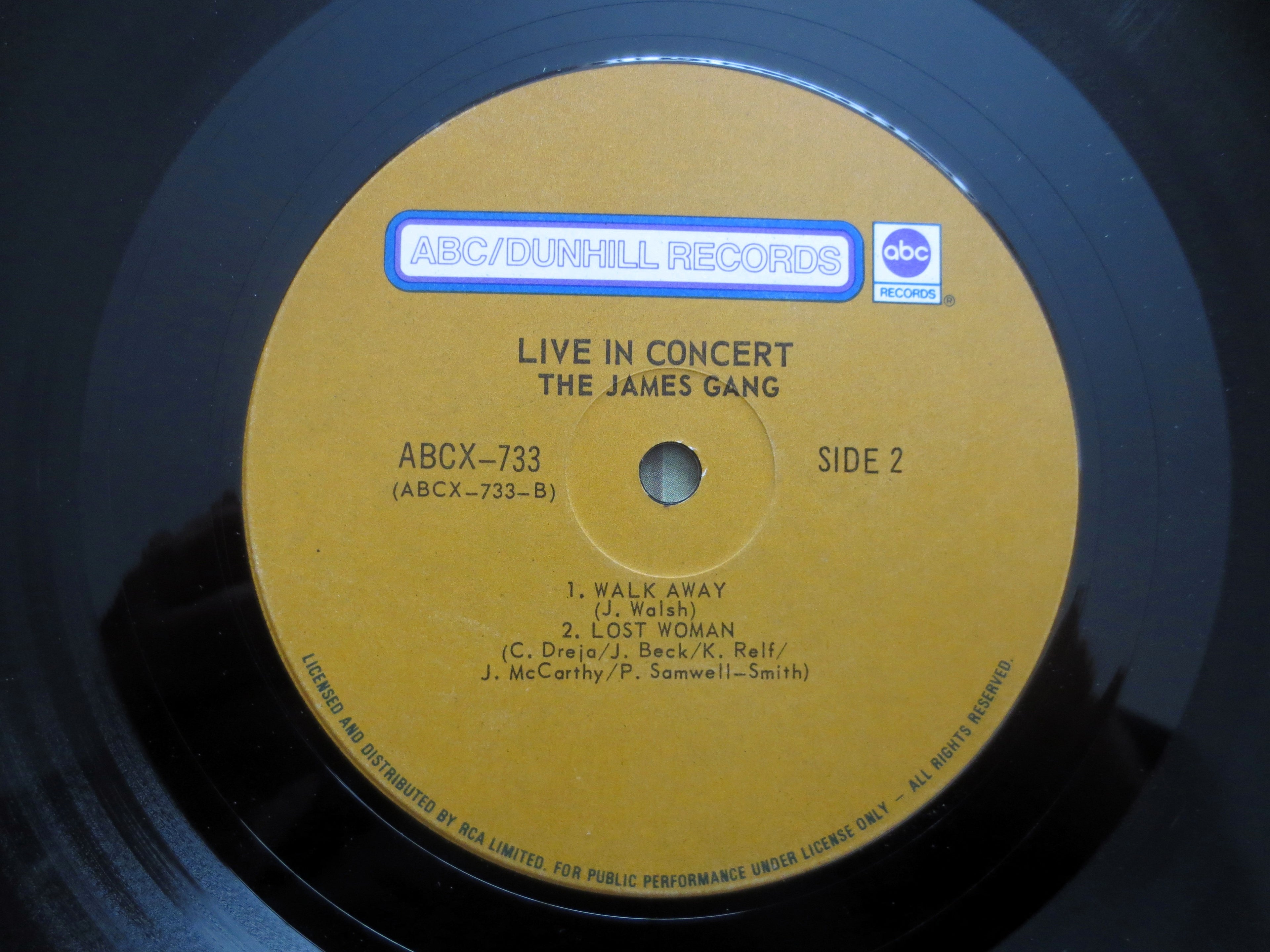 The JAMES GANG, Live In Concert, Vintage Album, 1971 Record, Vinyl Lp