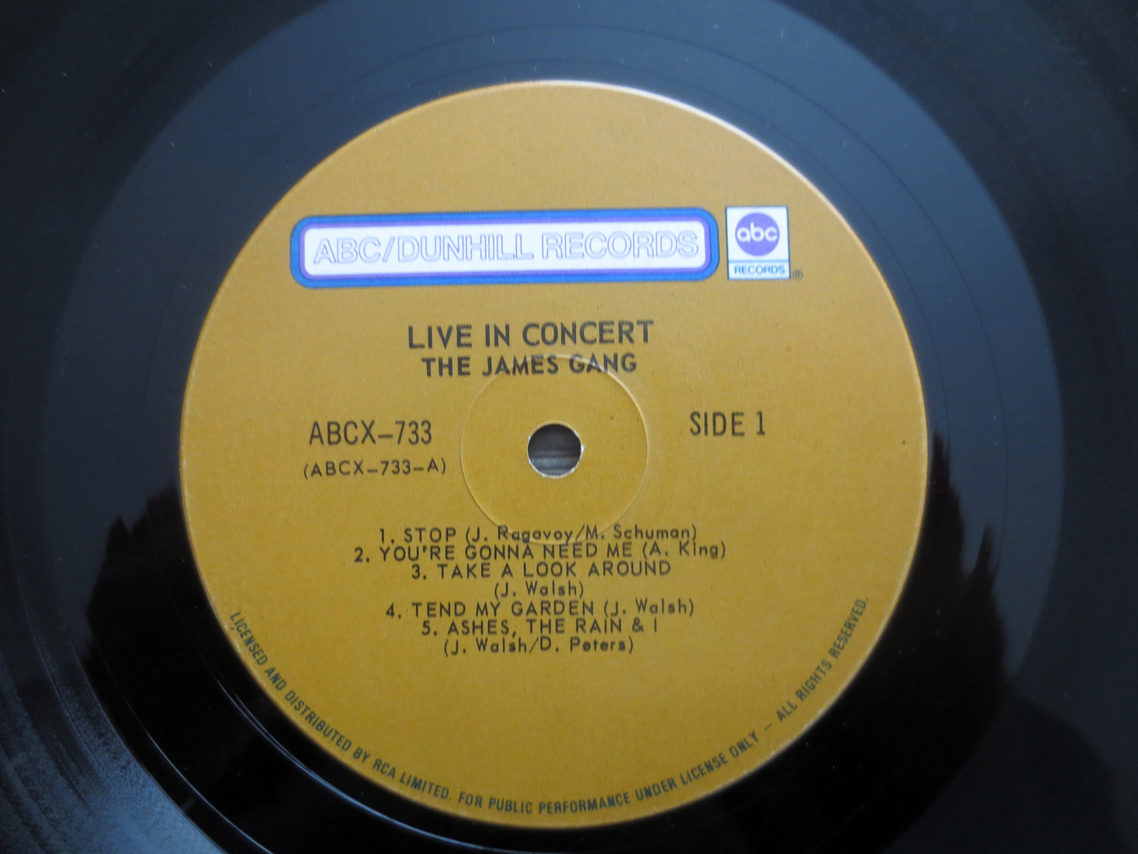 The JAMES GANG, Live In Concert, Vintage Album, 1971 Record, Vinyl Lp