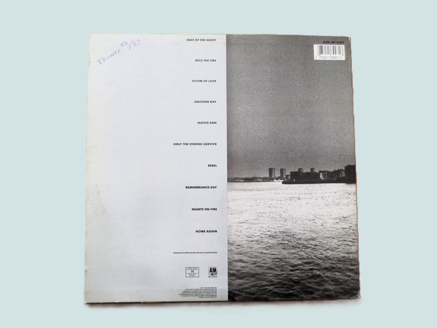 BRYAN ADAMS, Into the Fire, Vintage Album, 1987  Record, Vinyl Lp