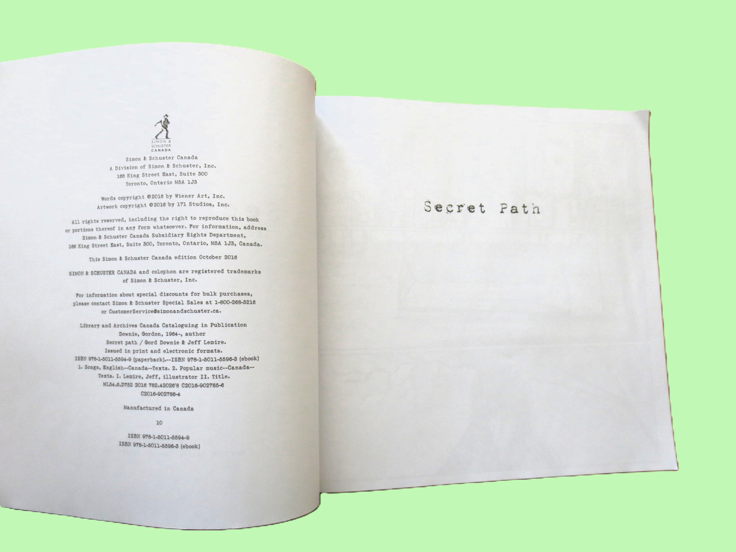 SECRET PATH by Gord Downie & Jeff Lemire - Includes Unused Album Download Code, The Tragically Hip