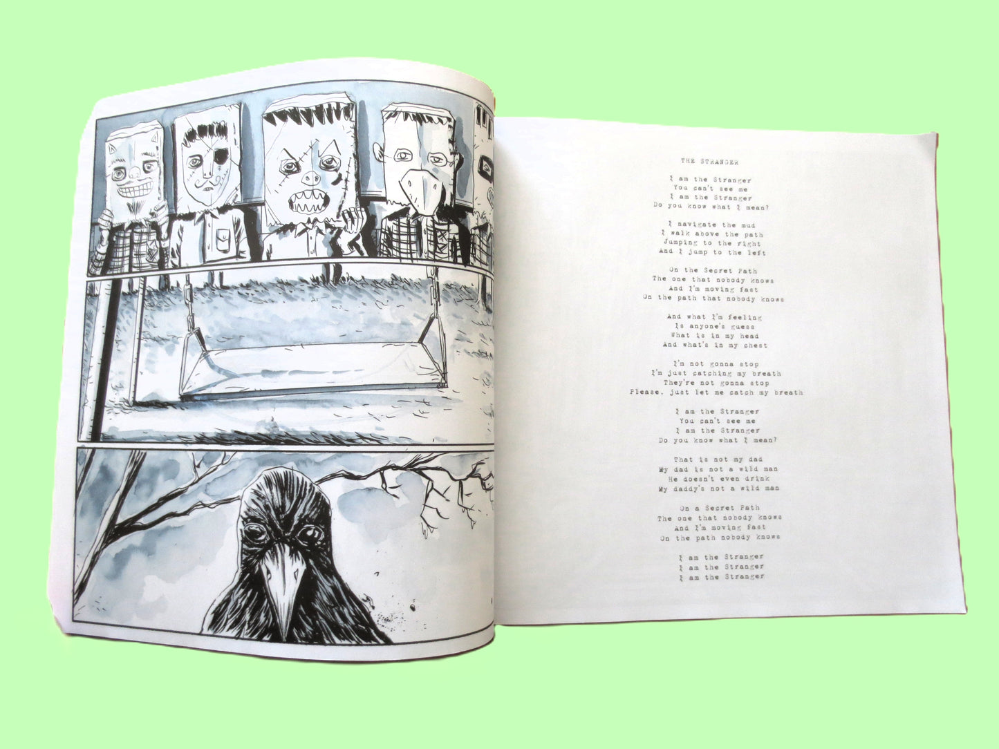 SECRET PATH by Gord Downie & Jeff Lemire - Includes Unused Album Download Code, The Tragically Hip