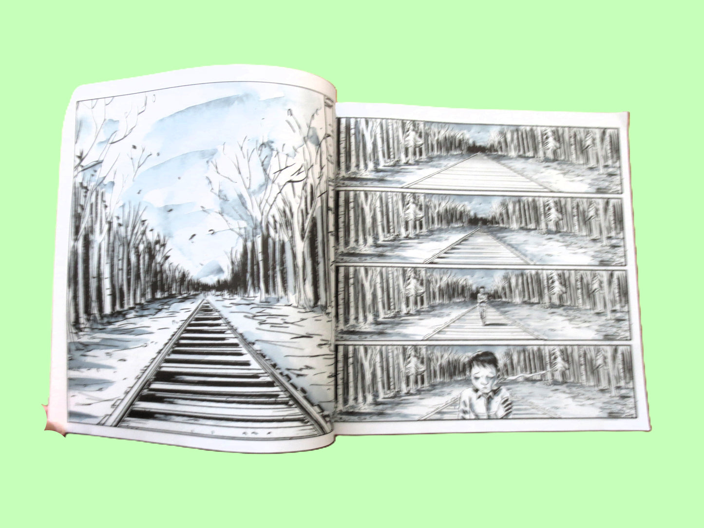SECRET PATH by Gord Downie & Jeff Lemire - Includes Unused Album Download Code, The Tragically Hip
