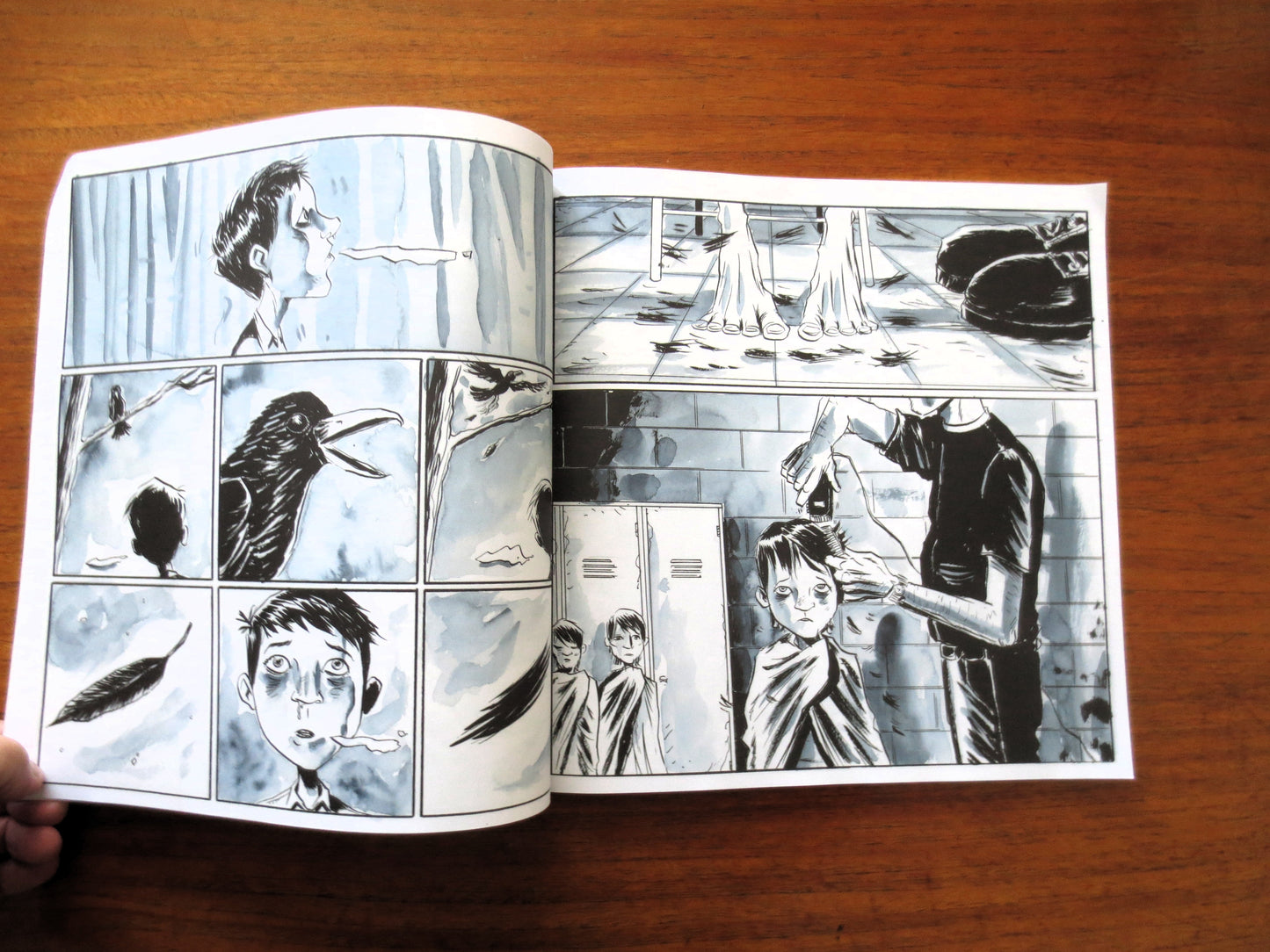 SECRET PATH by Gord Downie & Jeff Lemire - Includes Unused Album Download Code, The Tragically Hip