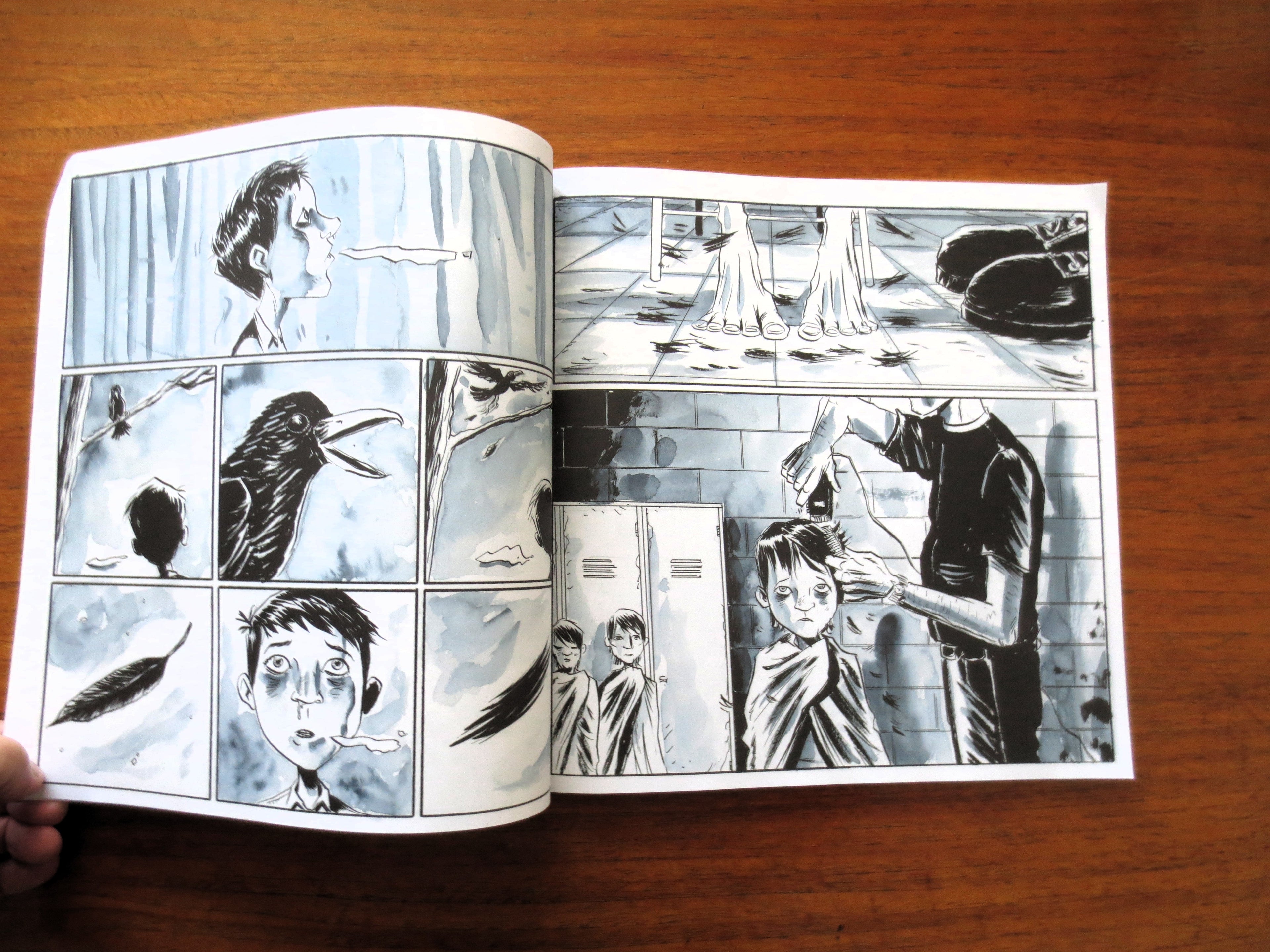SECRET PATH by Gord Downie & Jeff Lemire - Includes Unused Album Download Code, The Tragically Hip