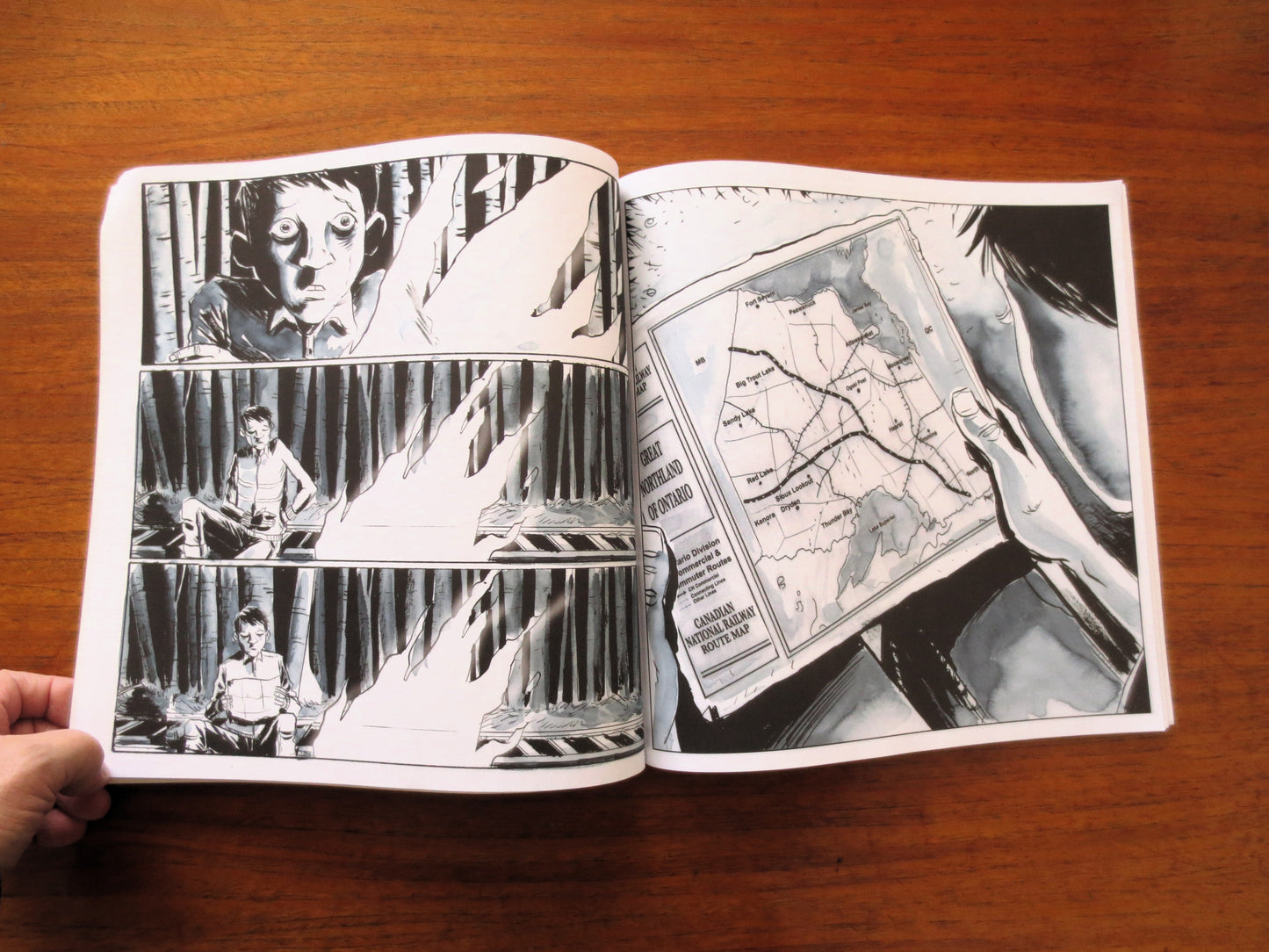 SECRET PATH by Gord Downie & Jeff Lemire - Includes Unused Album Download Code, The Tragically Hip
