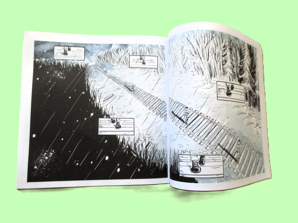 SECRET PATH by Gord Downie & Jeff Lemire - Includes Unused Album Download Code, The Tragically Hip