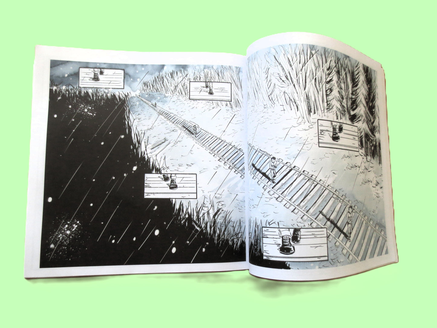 SECRET PATH by Gord Downie & Jeff Lemire - Includes Unused Album Download Code, The Tragically Hip