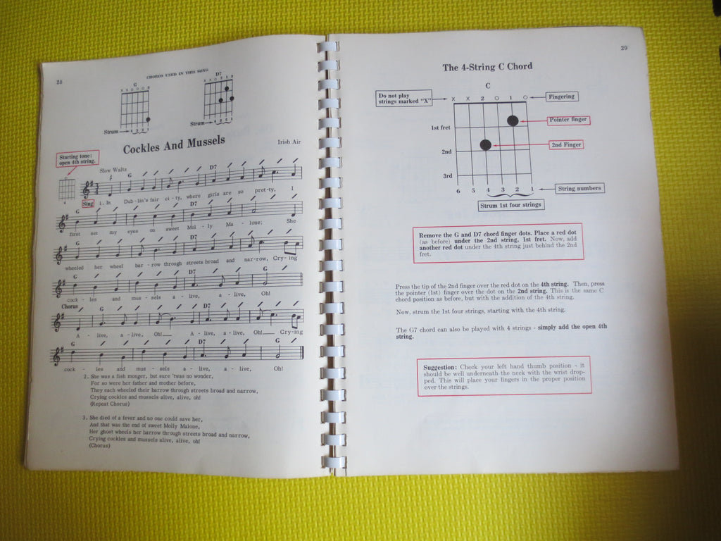 Pointer System for Guitar (Sheet Music Book)