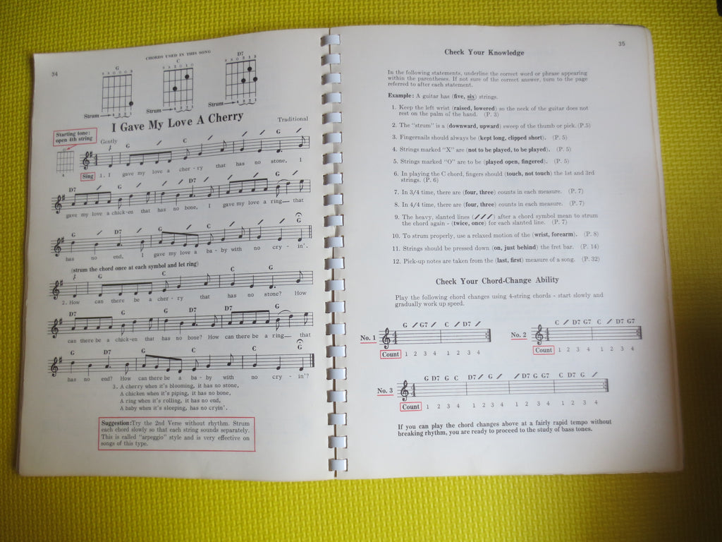 Pointer System for Guitar (Sheet Music Book)