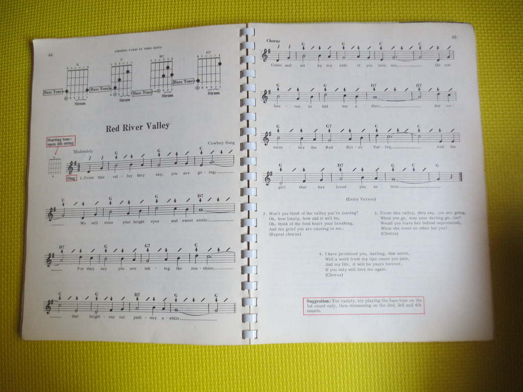 Pointer System for Guitar (Sheet Music Book)