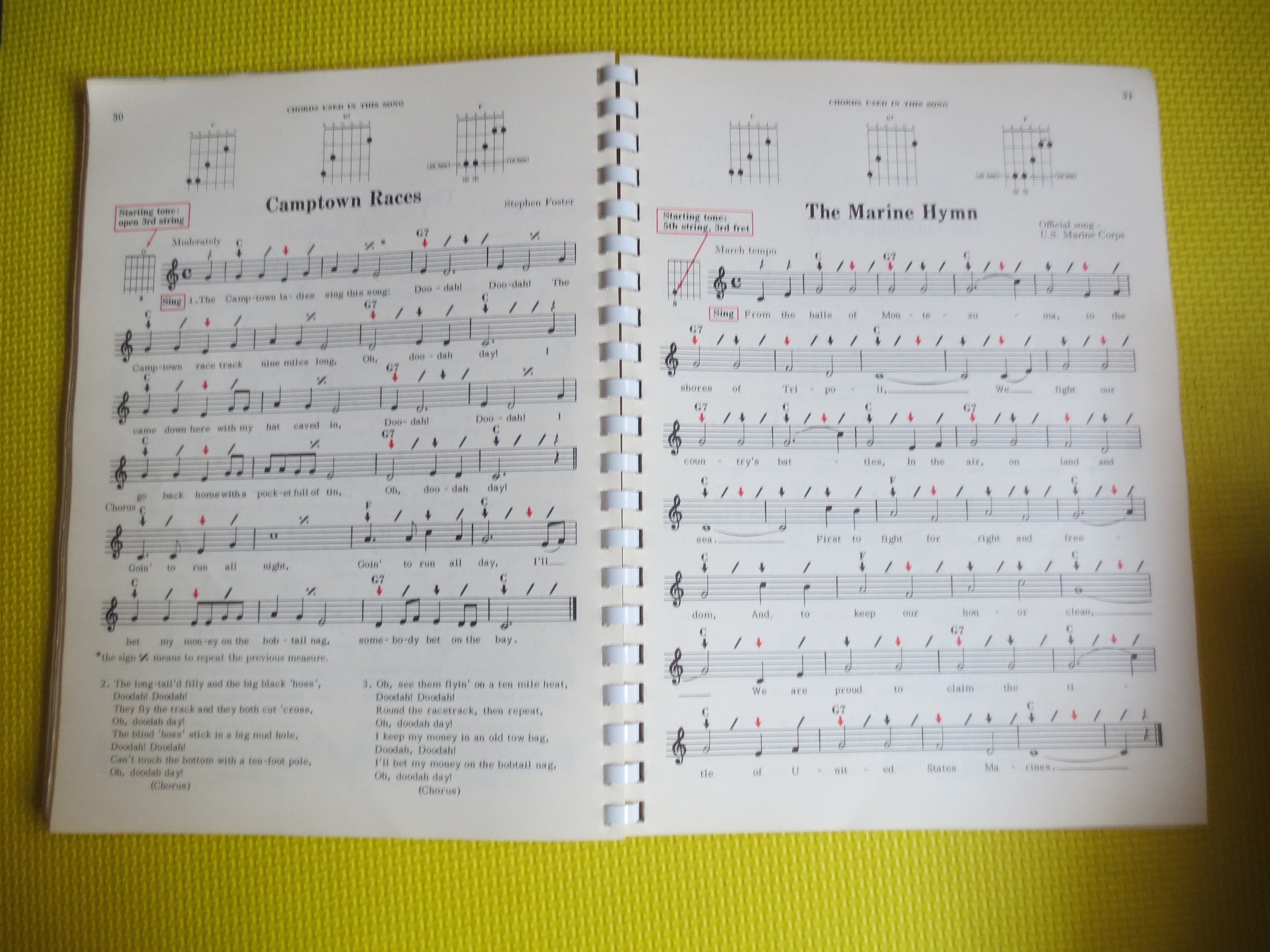 Pointer System for Guitar (Sheet Music Book)