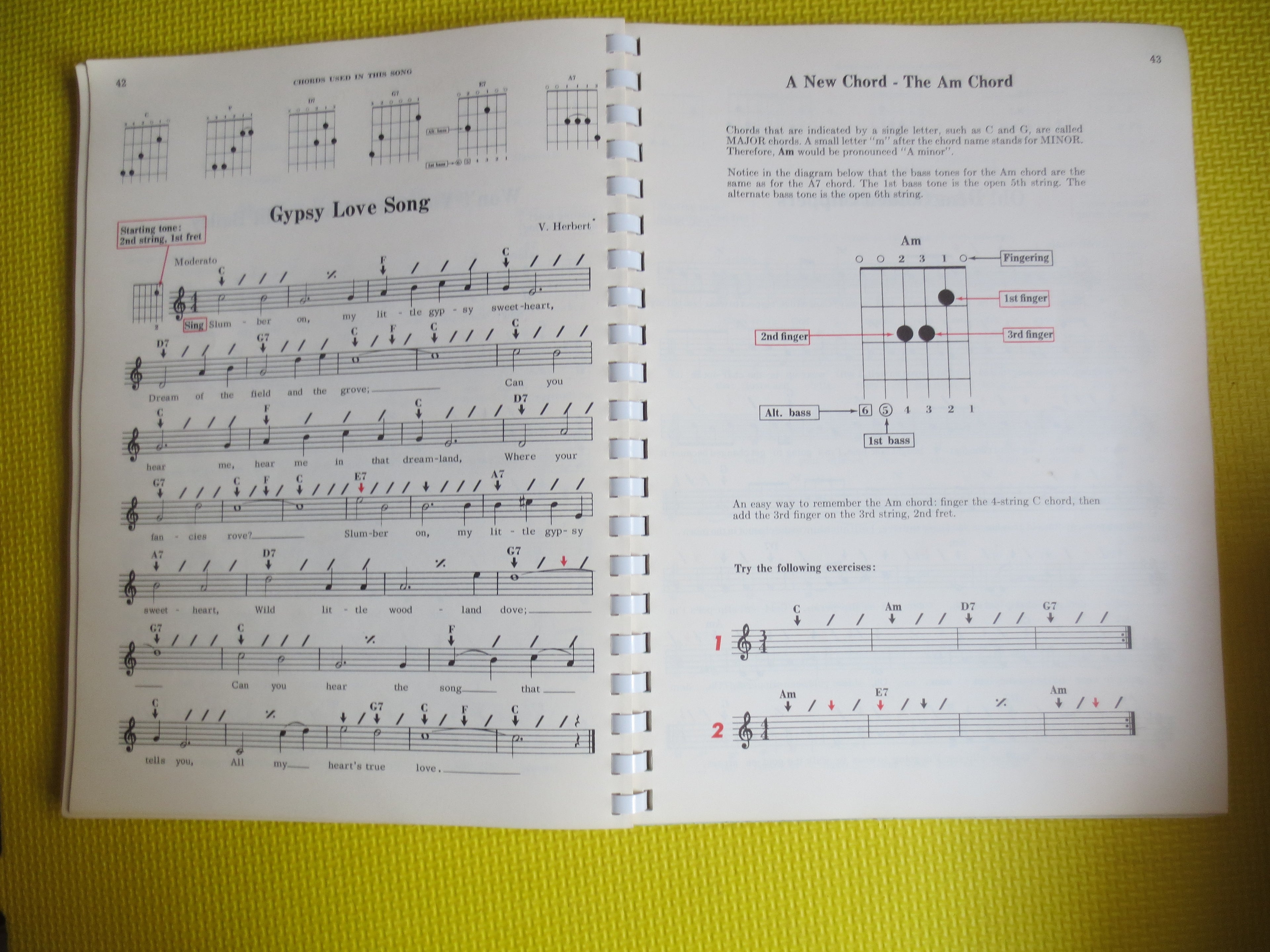 Pointer System for Guitar (Sheet Music Book)