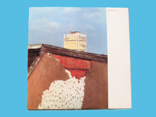 MARTHA and the MUFFINS, This is the Ice Age, Vintage Album, 1981 Records, Vinyl Lp