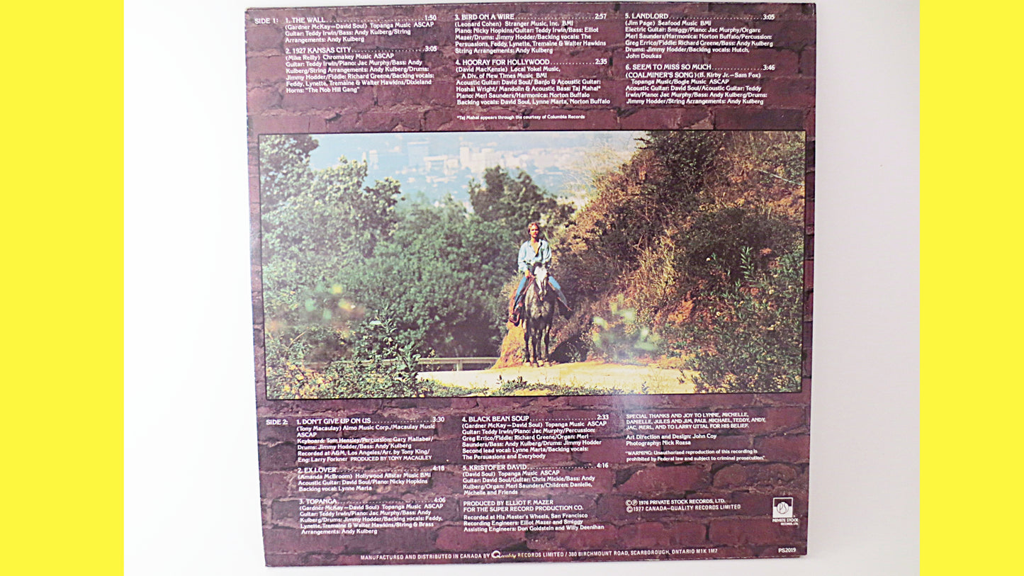 DAVID SOUL, David Soul Record, David Soul Album, David Soul Lp, David Soul Vinyl, Vintage Vinyl, David Soul, Vinyl Lp, Lp, 1977 Records