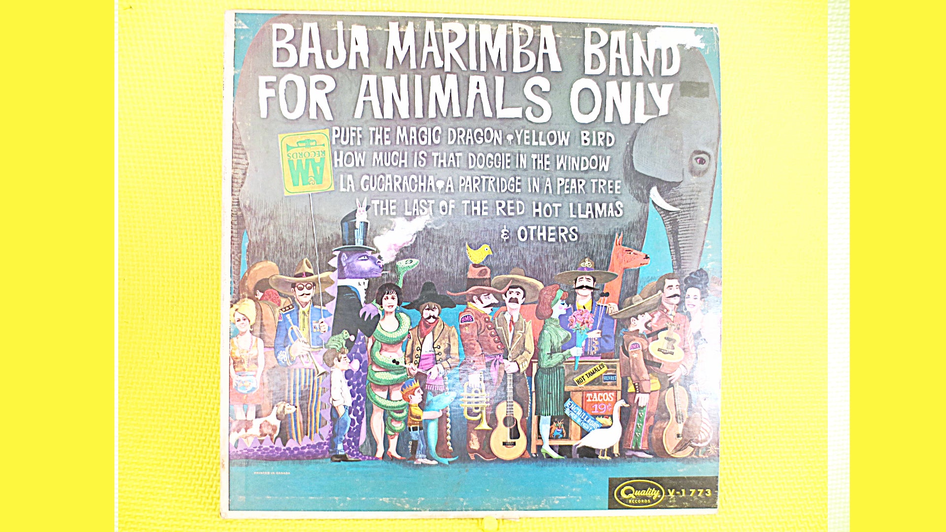 BAJA MARIMBA Band, For ANIMALS Only, Tango Record, Tango Album, Latin Music Record, Tango Lp, Vintage Vinyl, 1965 Records