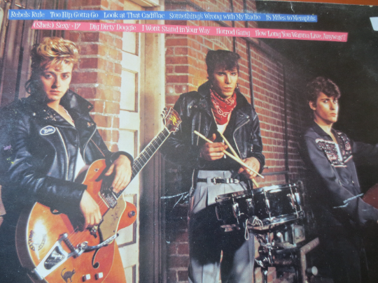 The Stray Cats – Rant N' Rave with the Stray Cats (1983) Vinyl LP