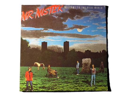 Mr. MISTER, WELCOME to the Real World, 1985 Record, Vintage Album, Vinyl Lp