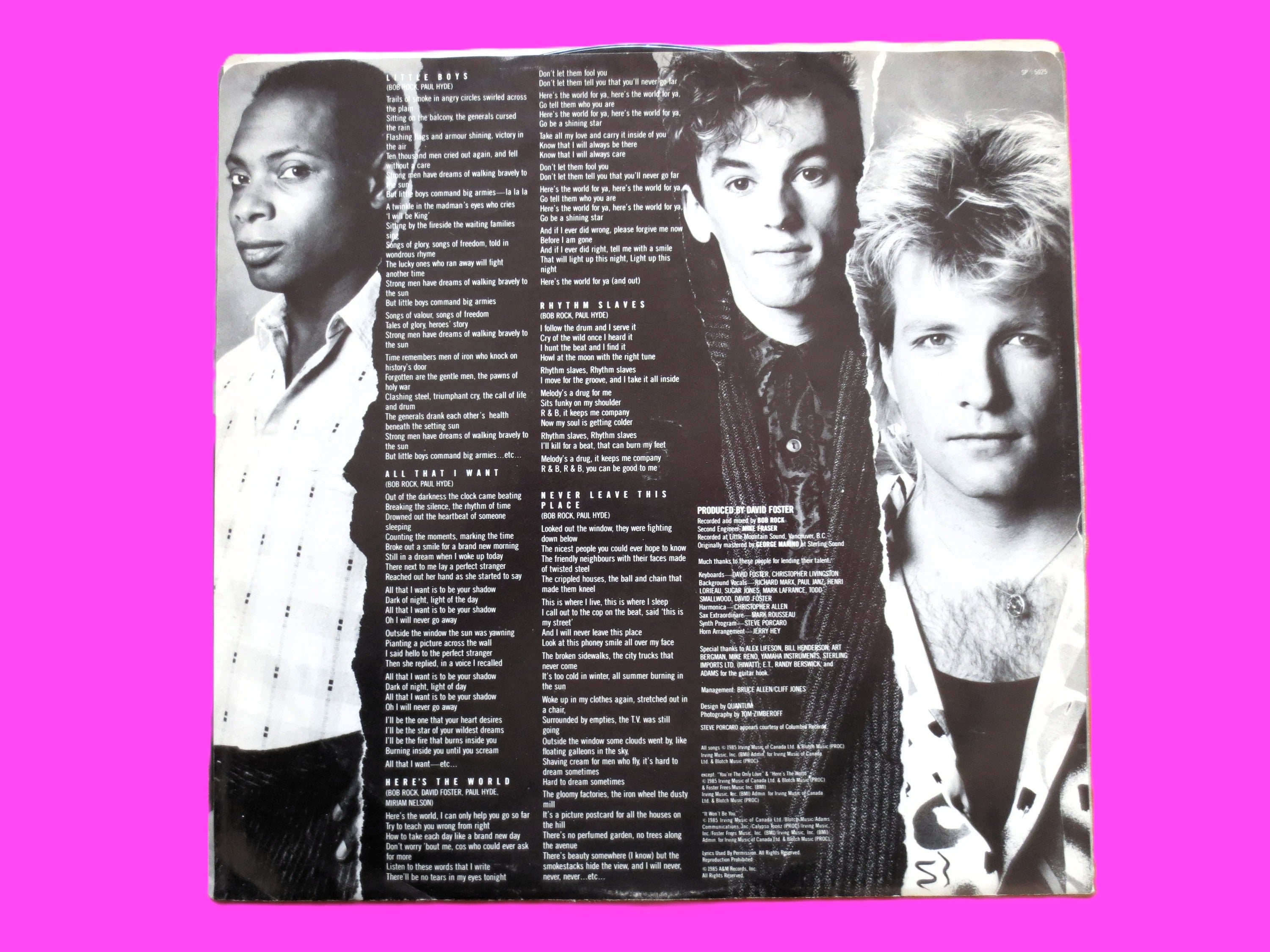 PAUL HYDE & The PAYOLAS, Here's The World For Ya, Vintage Album, 1985 Record, Vinyl Lp