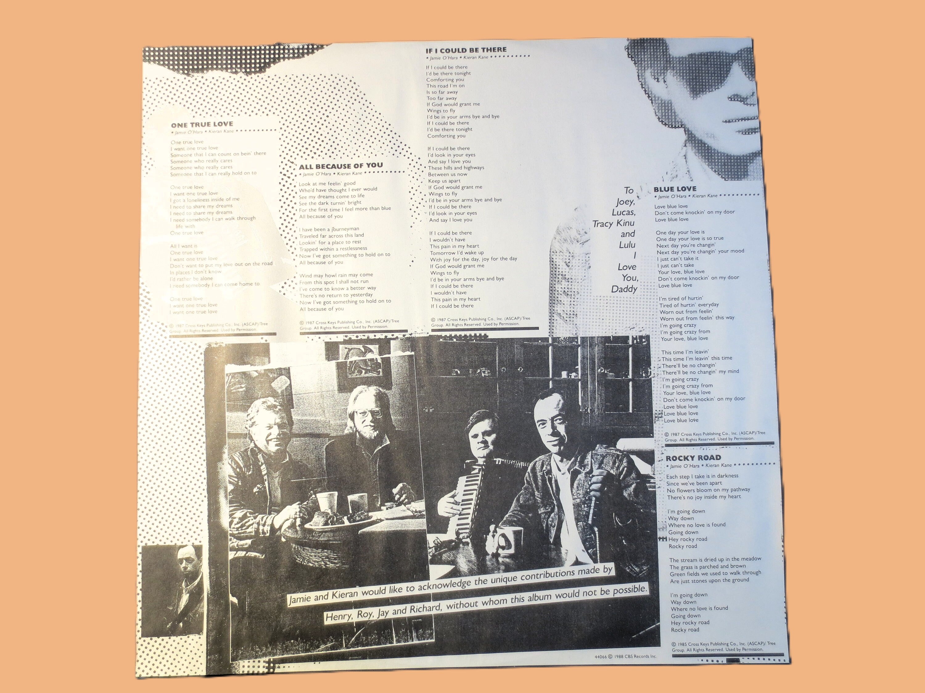 The O'Kanes – Tired of the Runnin' (1988) Vinyl LP