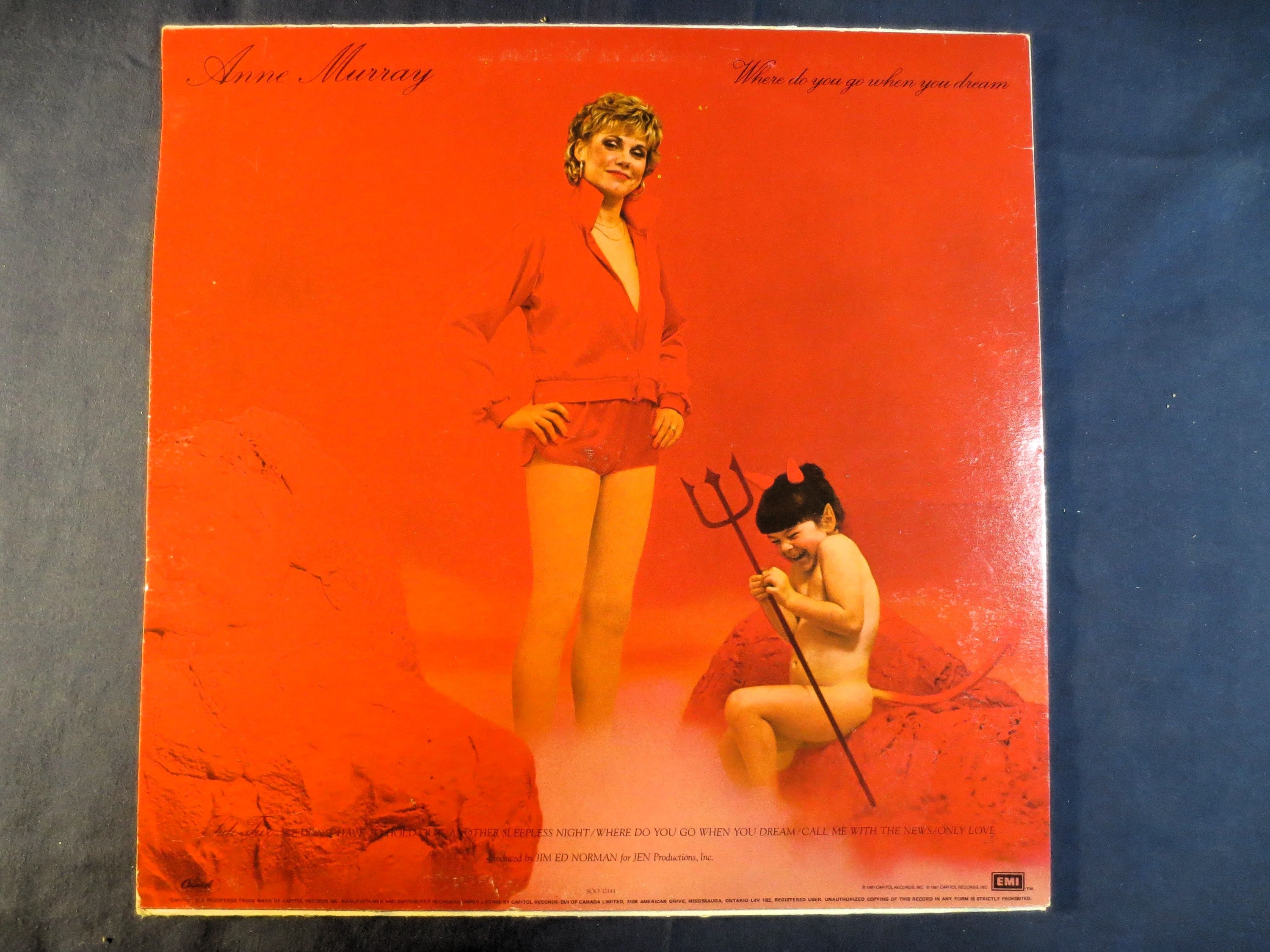 Anne Murray – Where Do You Go When You Dream (1981) Vinyl LP