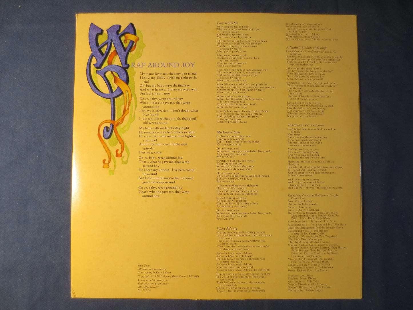 CAROLE KING, Wrap Around JOY, Carole King Record, Carole King Album, Carole King Lp, Folk Records, Folk Album, 1974 Records