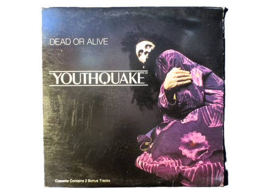 DEAD or ALIVE, Youthquake, Vintage Album, 1985 Record, Vinyl Lp