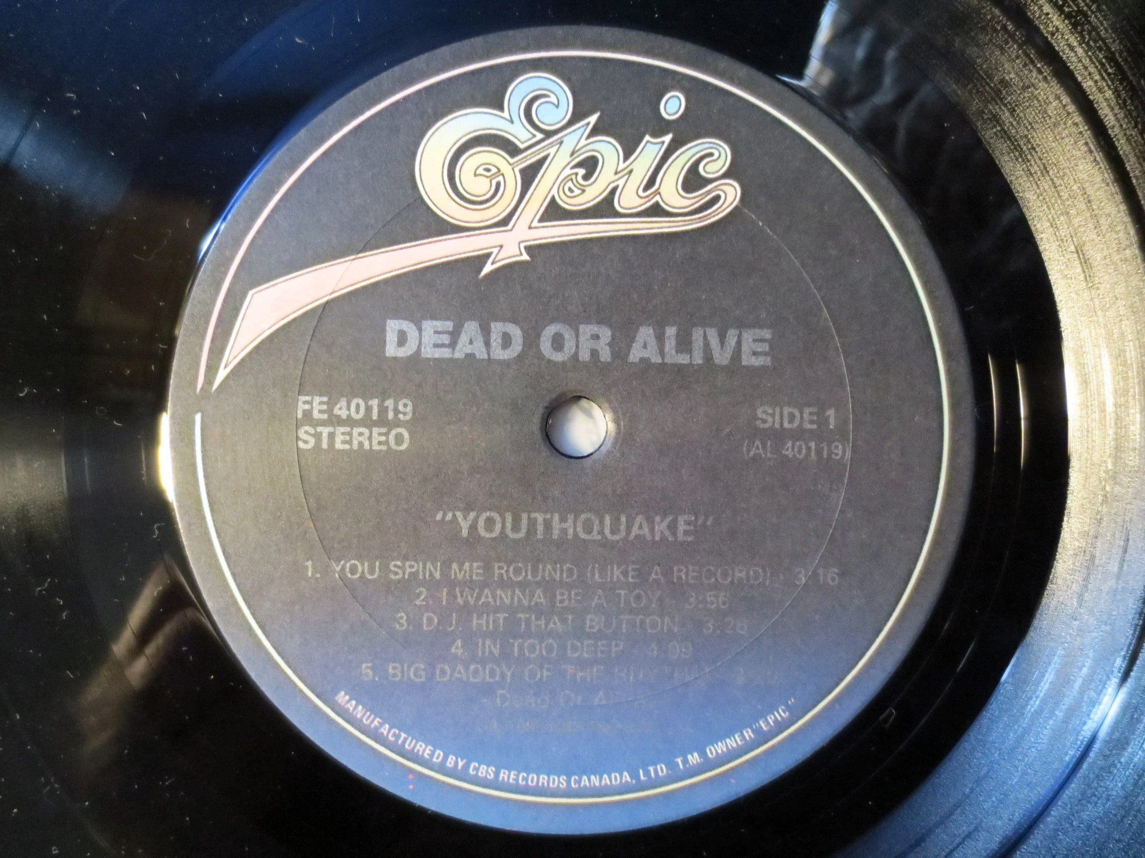 DEAD or ALIVE, Youthquake, Vintage Album, 1985 Record, Vinyl Lp