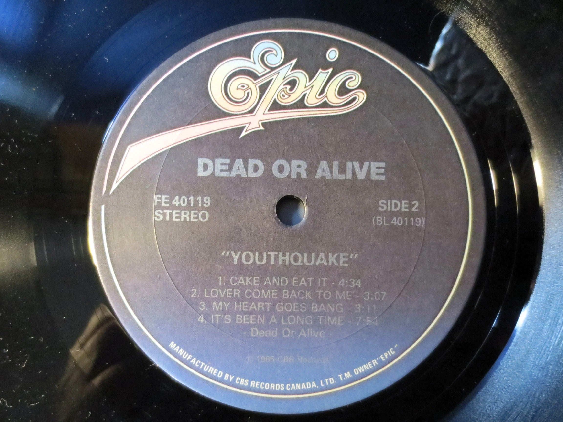 DEAD or ALIVE, Youthquake, Vintage Album, 1985 Record, Vinyl Lp