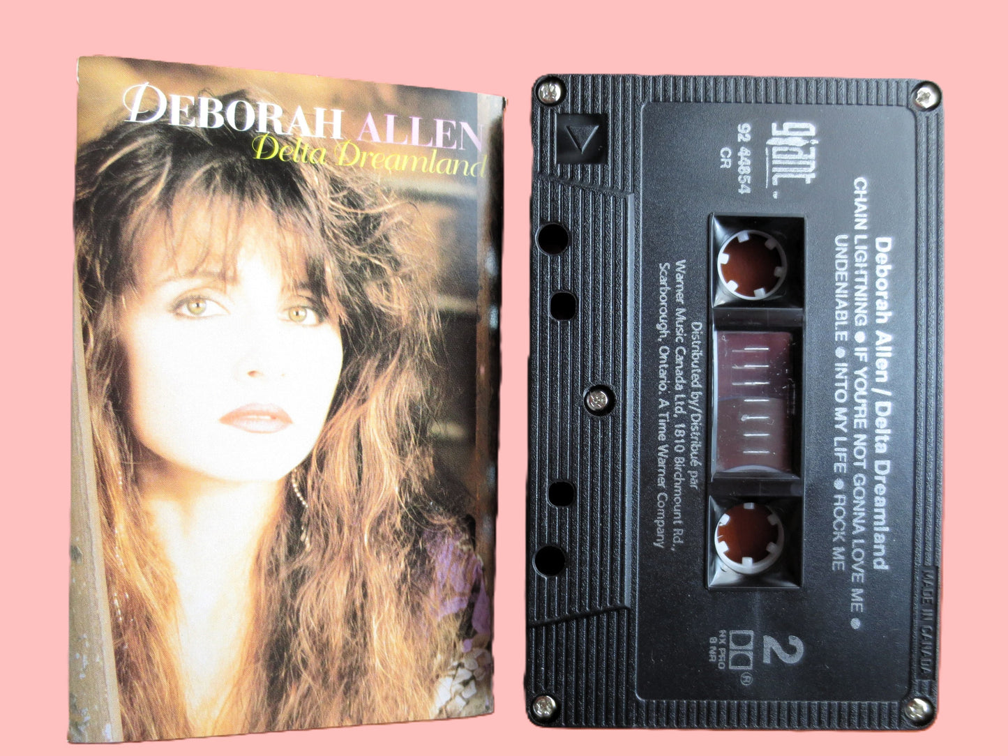 DEBORAH ALLEN - Delta DREAMLAND - 1993 Cassette Tape - Vintage Cassette