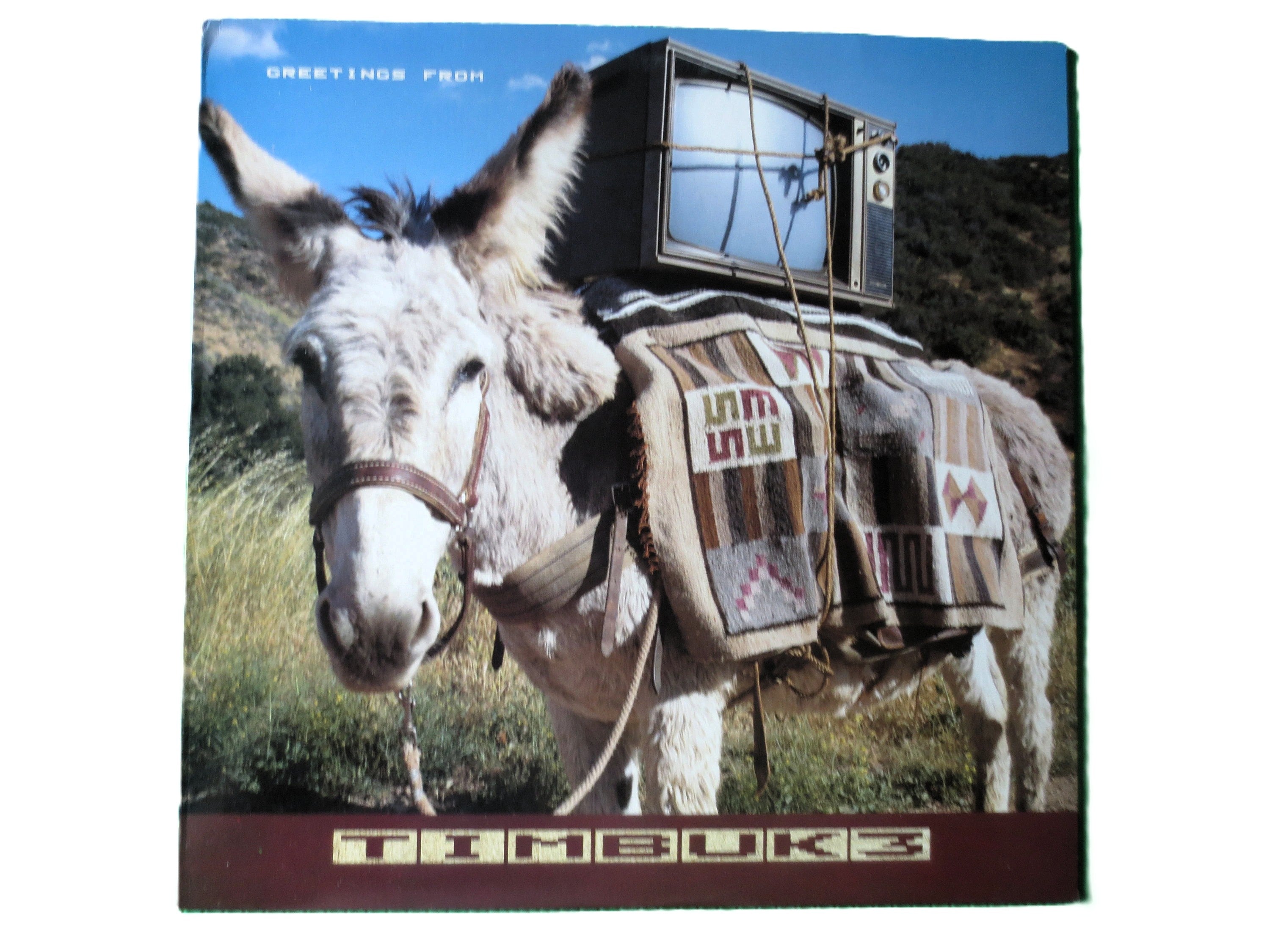 TIMBUK 3, "GREETINGS From", 1986 Record, Vintage Rock Album