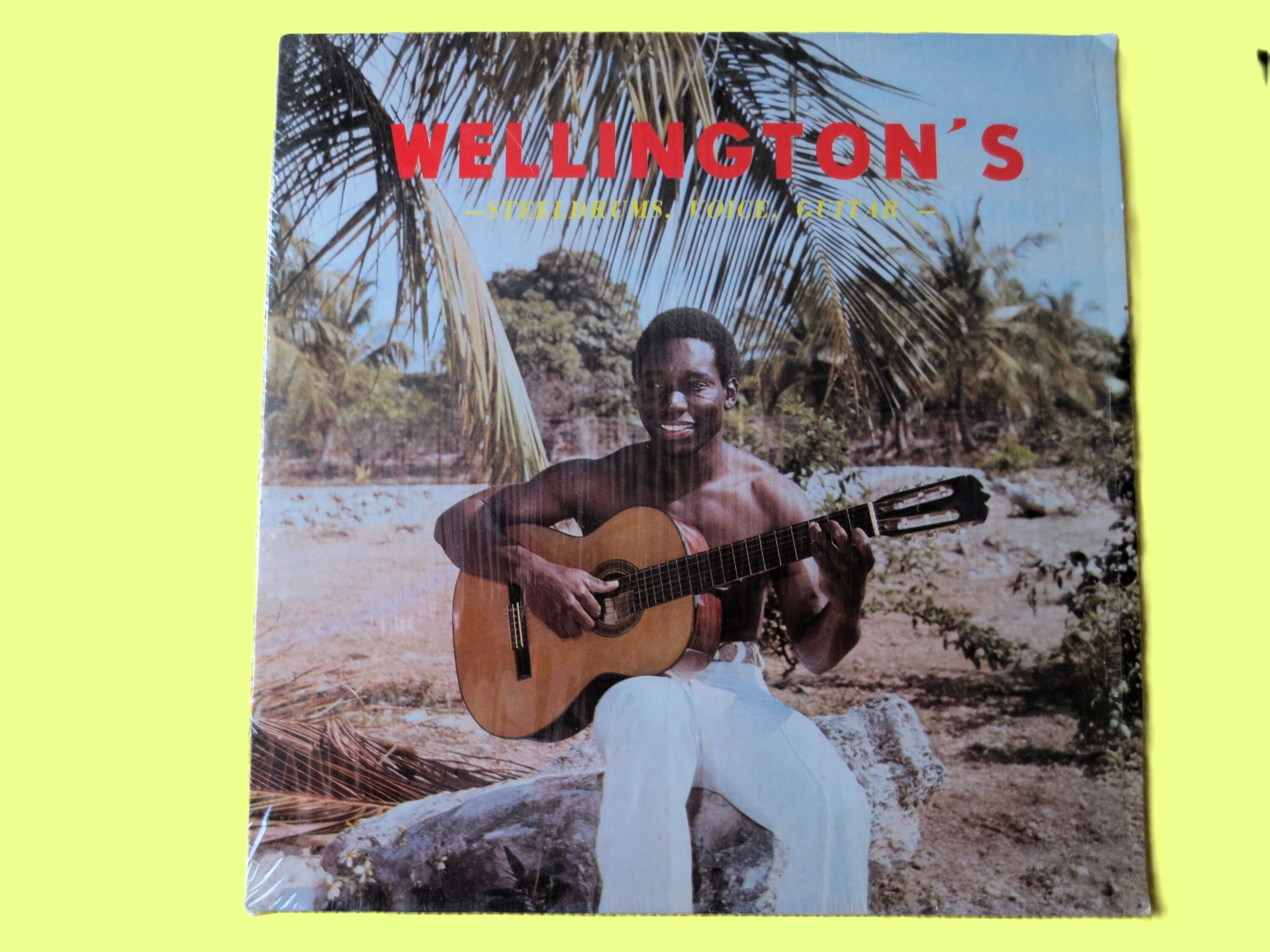 WELLINGTON GIBSON, Steel DRUMS, Reggae Music, Vintage Album, Vinyl Lp