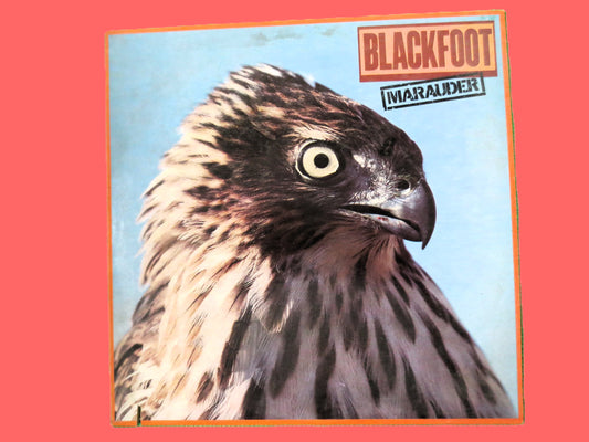 BLACKFOOT, MARAUDER, Vintage Album, 1981 Record, Vinyl Lp