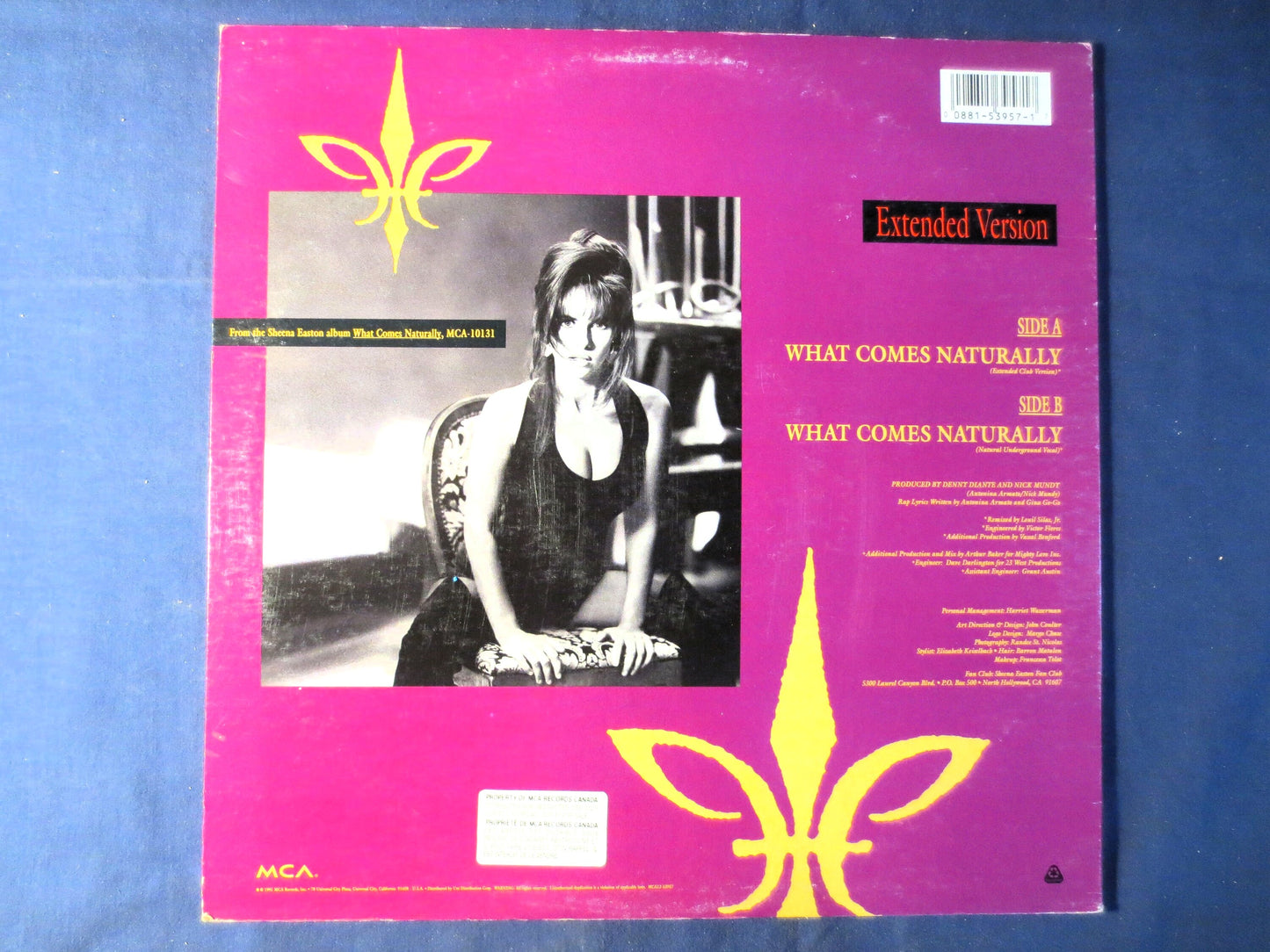 SHEENA EASTON, What Comes NATURALLY, Sheena Easton Record, Sheena Easton Album, Sheena Easton Lp, Vinyl Lp, 1991 Records