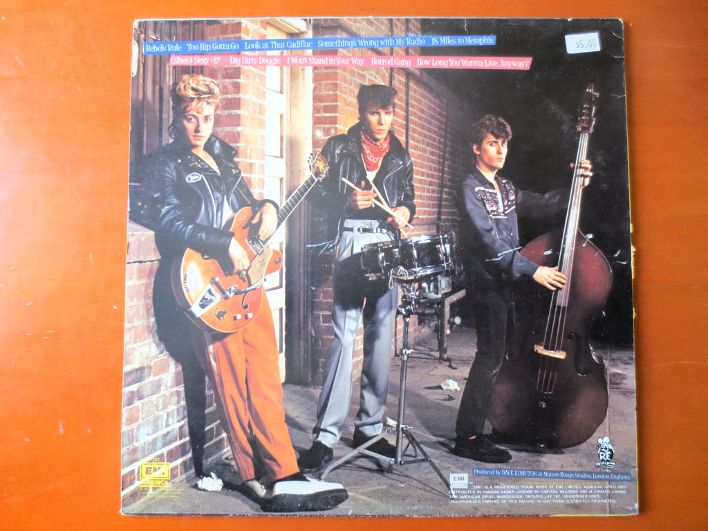 The Stray Cats – Rant N' Rave with the Stray Cats (1983) Vinyl LP