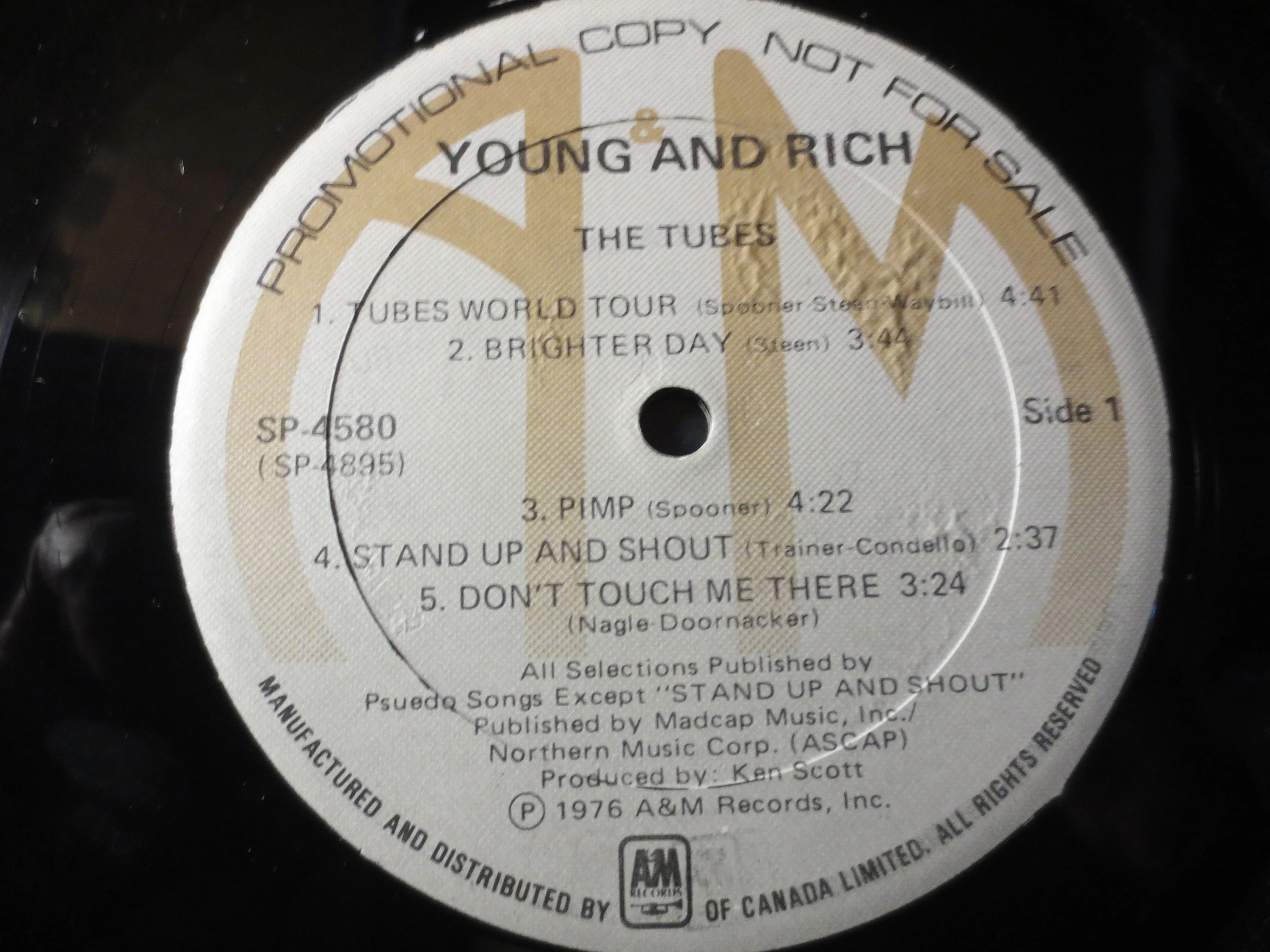 The TUBES, Young and Rich, Vintage Album, 1976 Record, Vinyl Lp