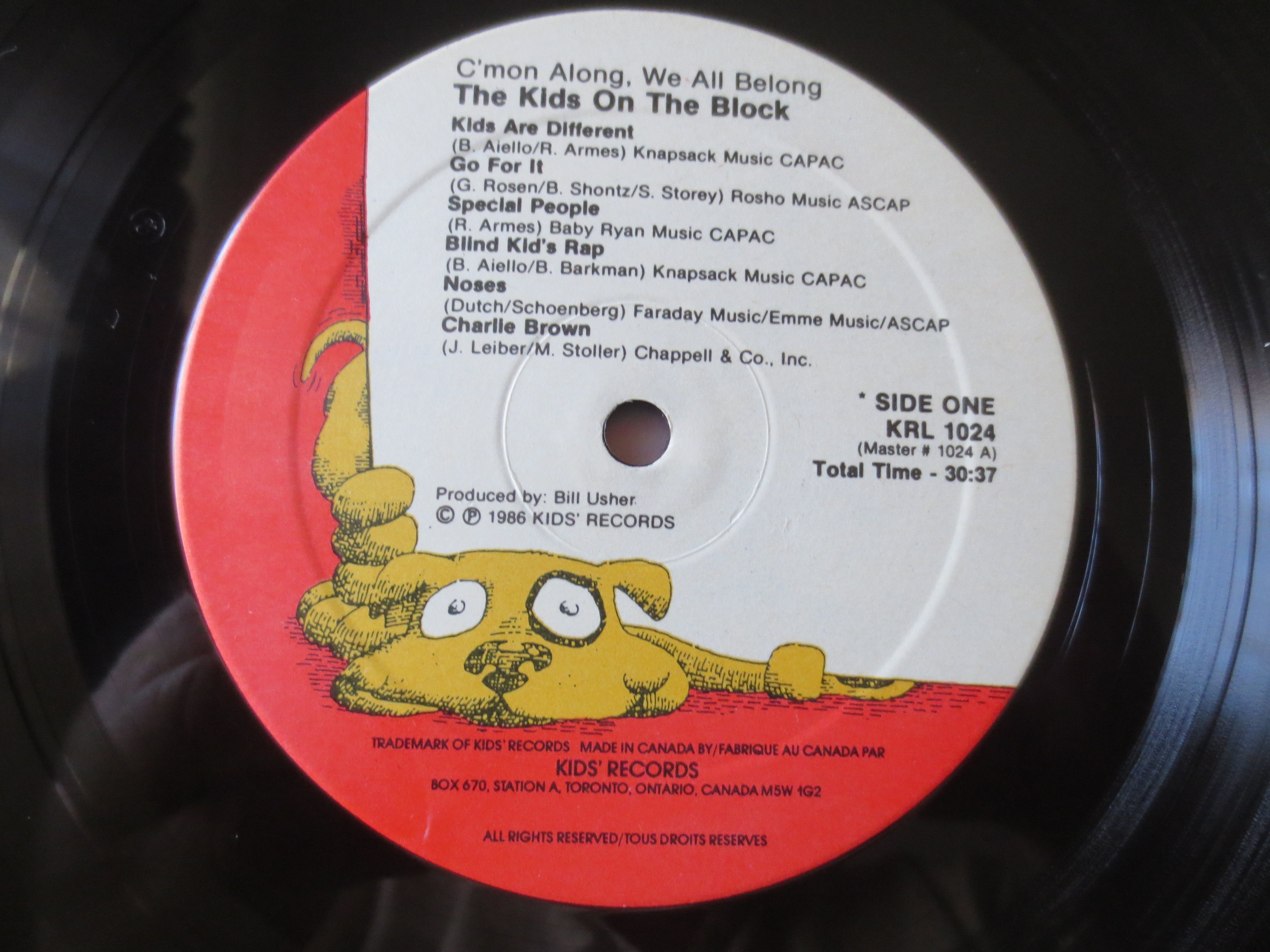 The Kids on the Block – C'mon Along, We All Belong (1986) Vinyl LP