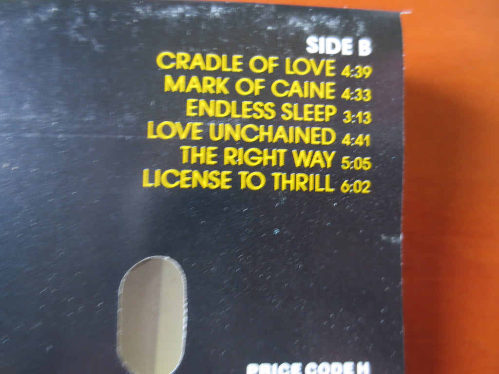 Billy Idol – Charmed Life (1990) Cassette