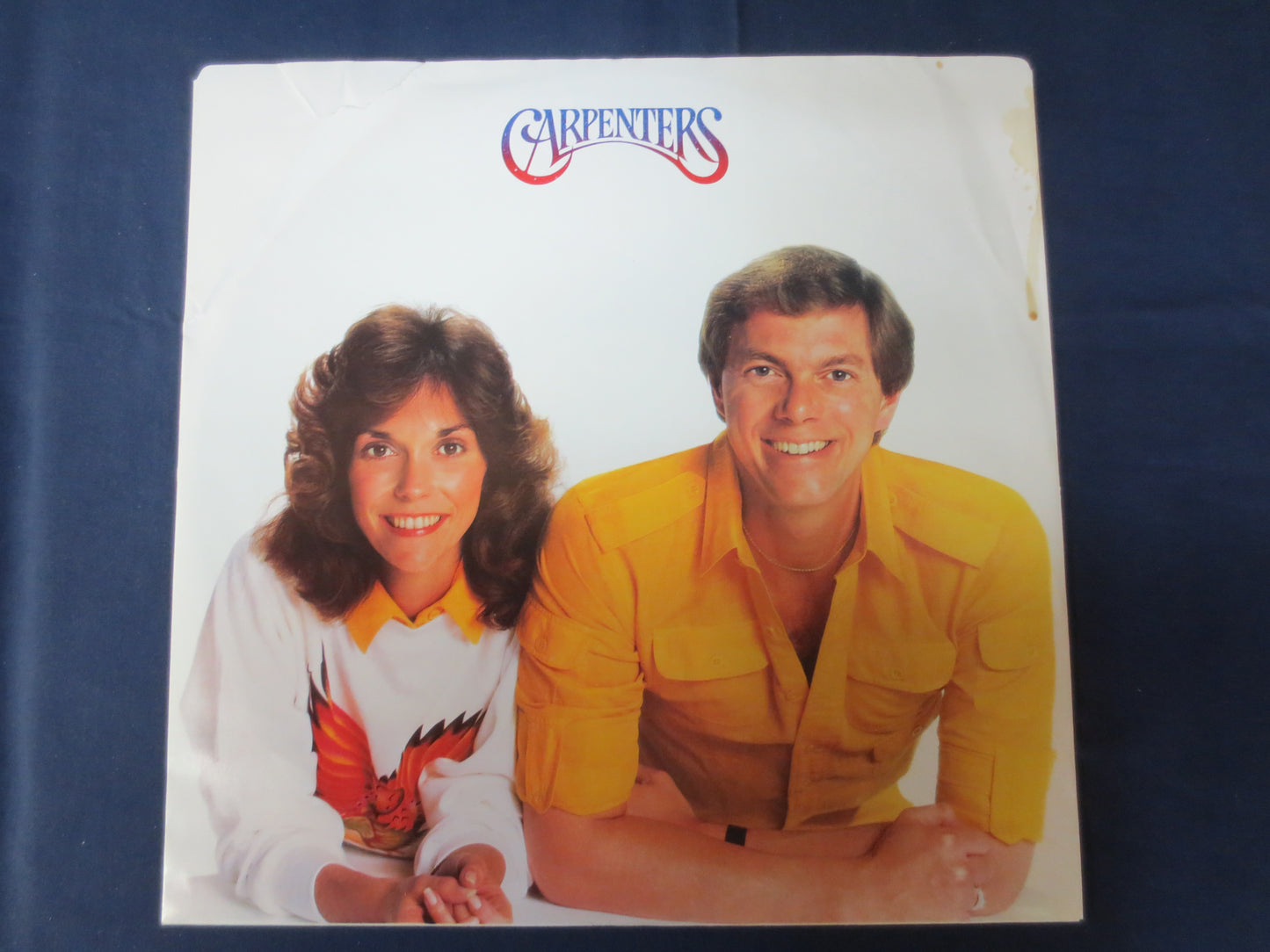 The CARPENTERS, MADE in AMERICA, Pop Record, Vintage Vinyl, Record Vinyl, Records, Vinyl Record, Vinyl Album, 1981 Records