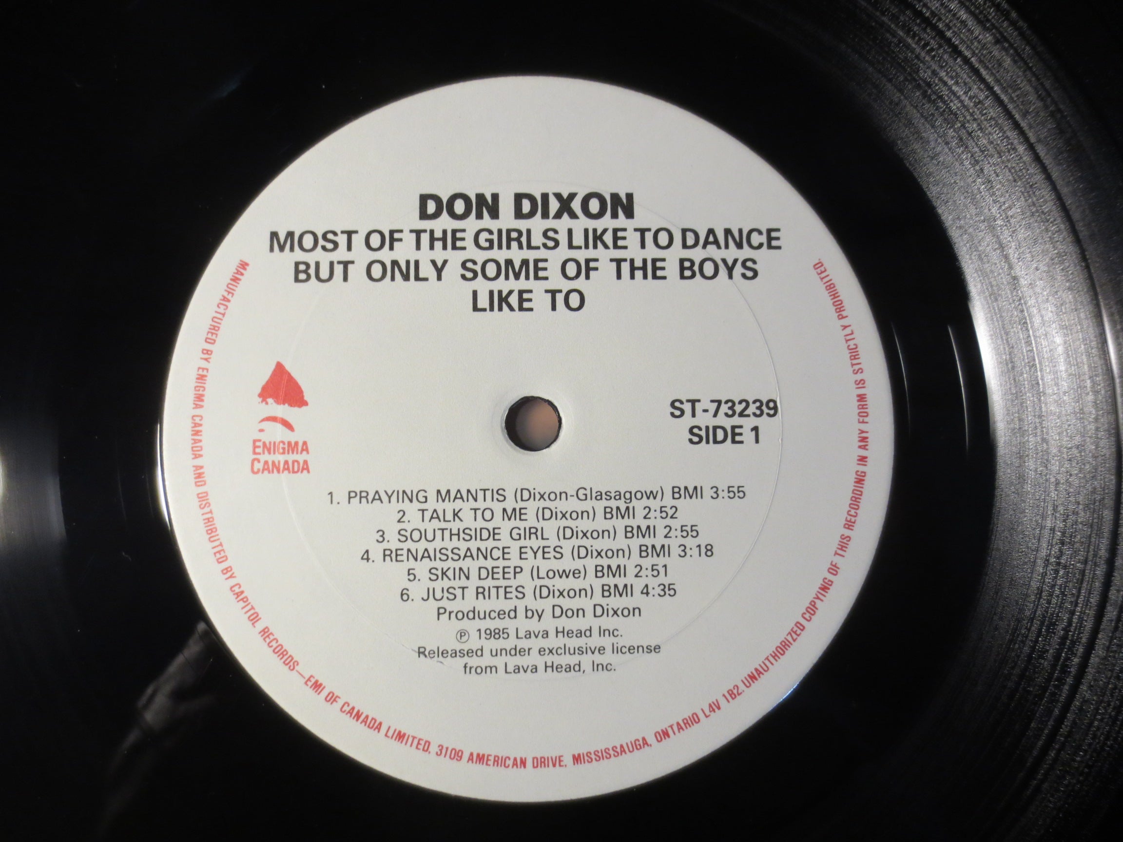 Don Dixon – Most of the Girls Like to Dance But Only Some of the Boys Like To (1985) Vinyl LP