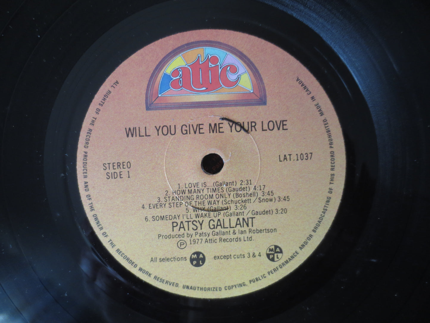 PATSY GALLANT, Will You Give Me Your Love, Patsy Gallant Vinyl, Patsy Gallant Lp, Vintage Vinyl, Records, 1977 Records