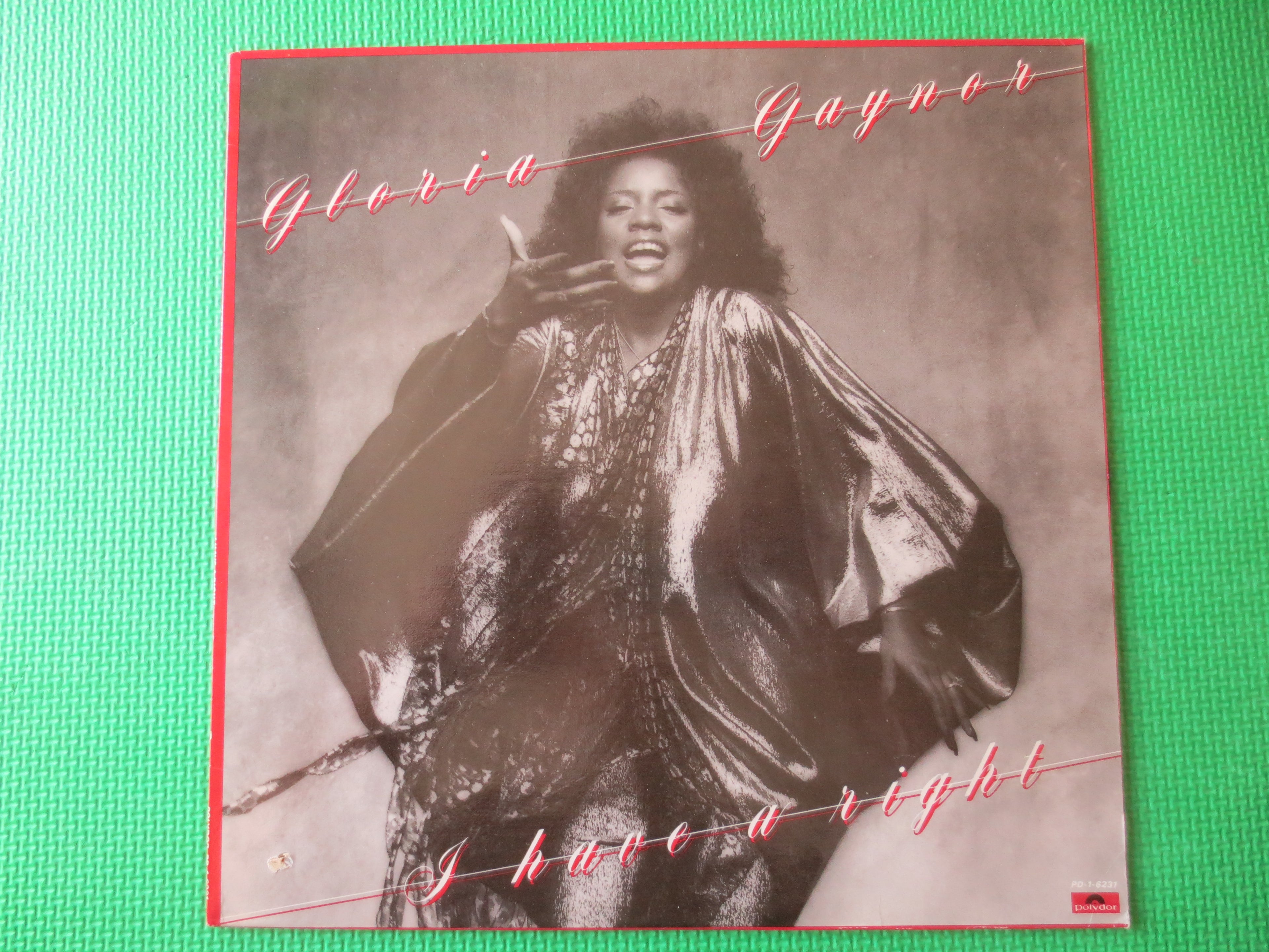 Gloria Gaynor – I Have a Right (1979) Vinyl LP